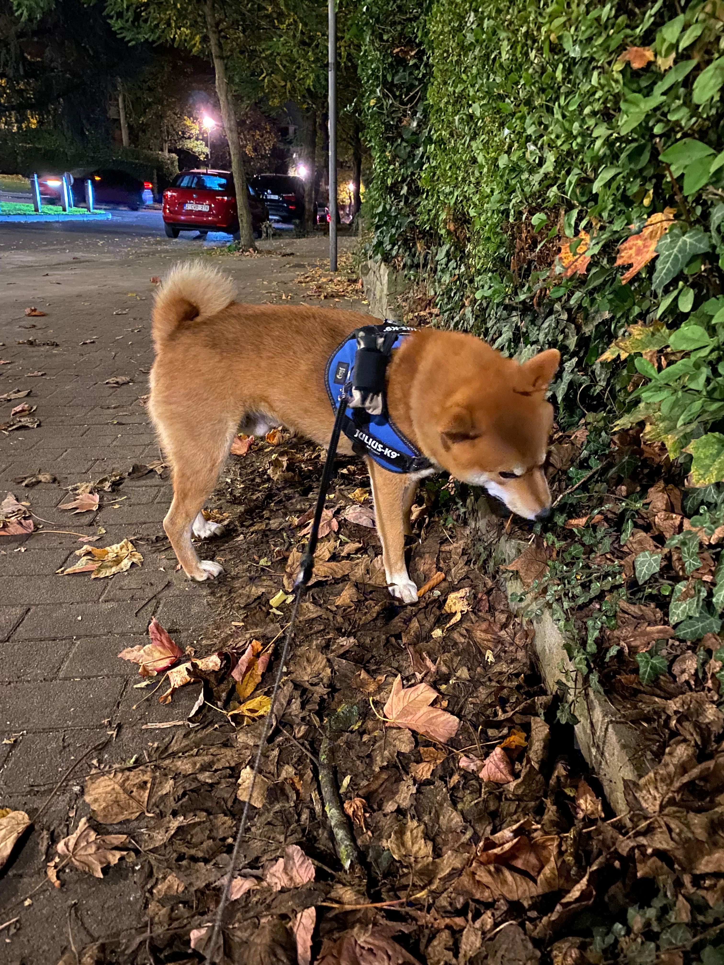 image-13