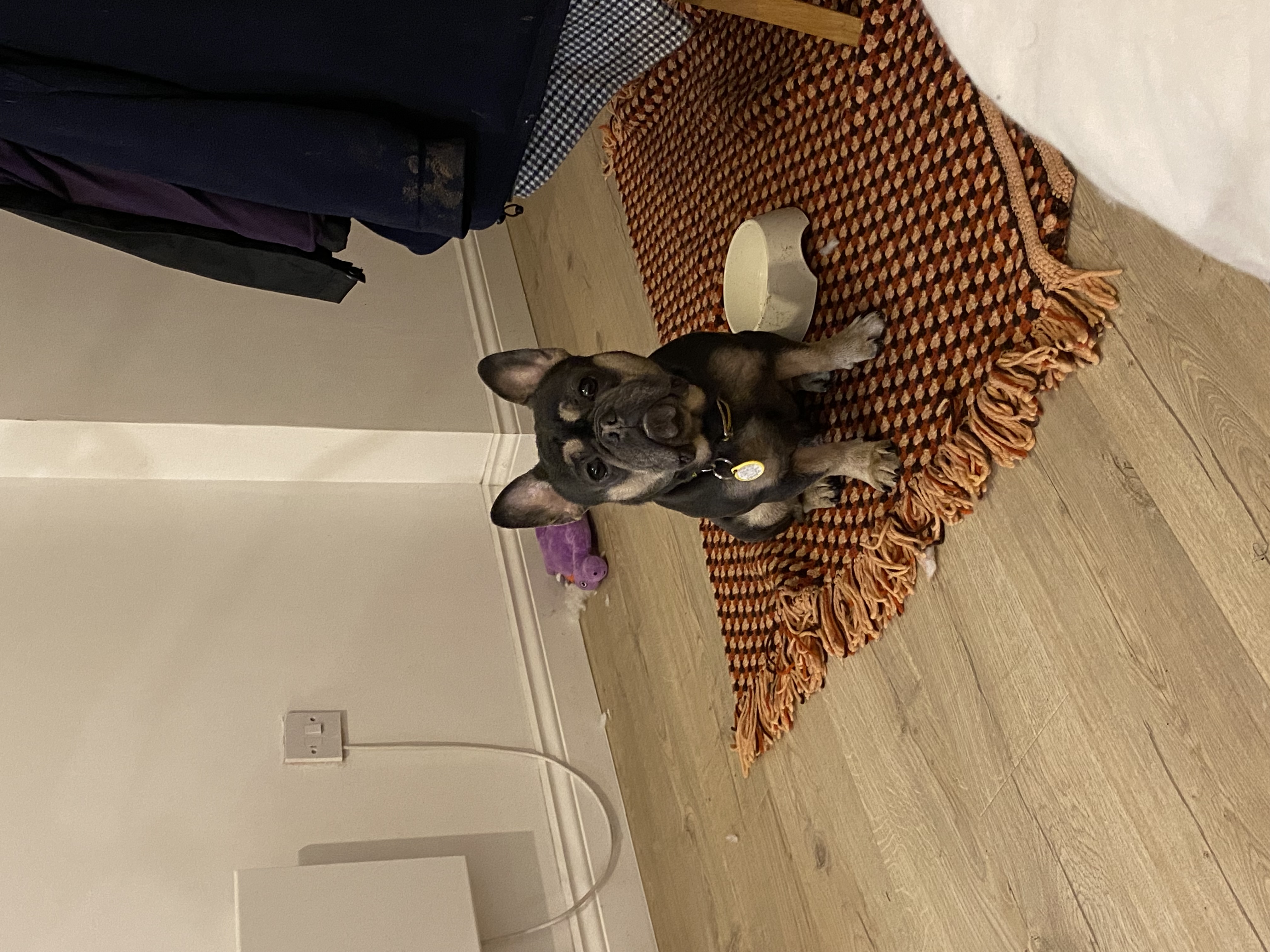image-6