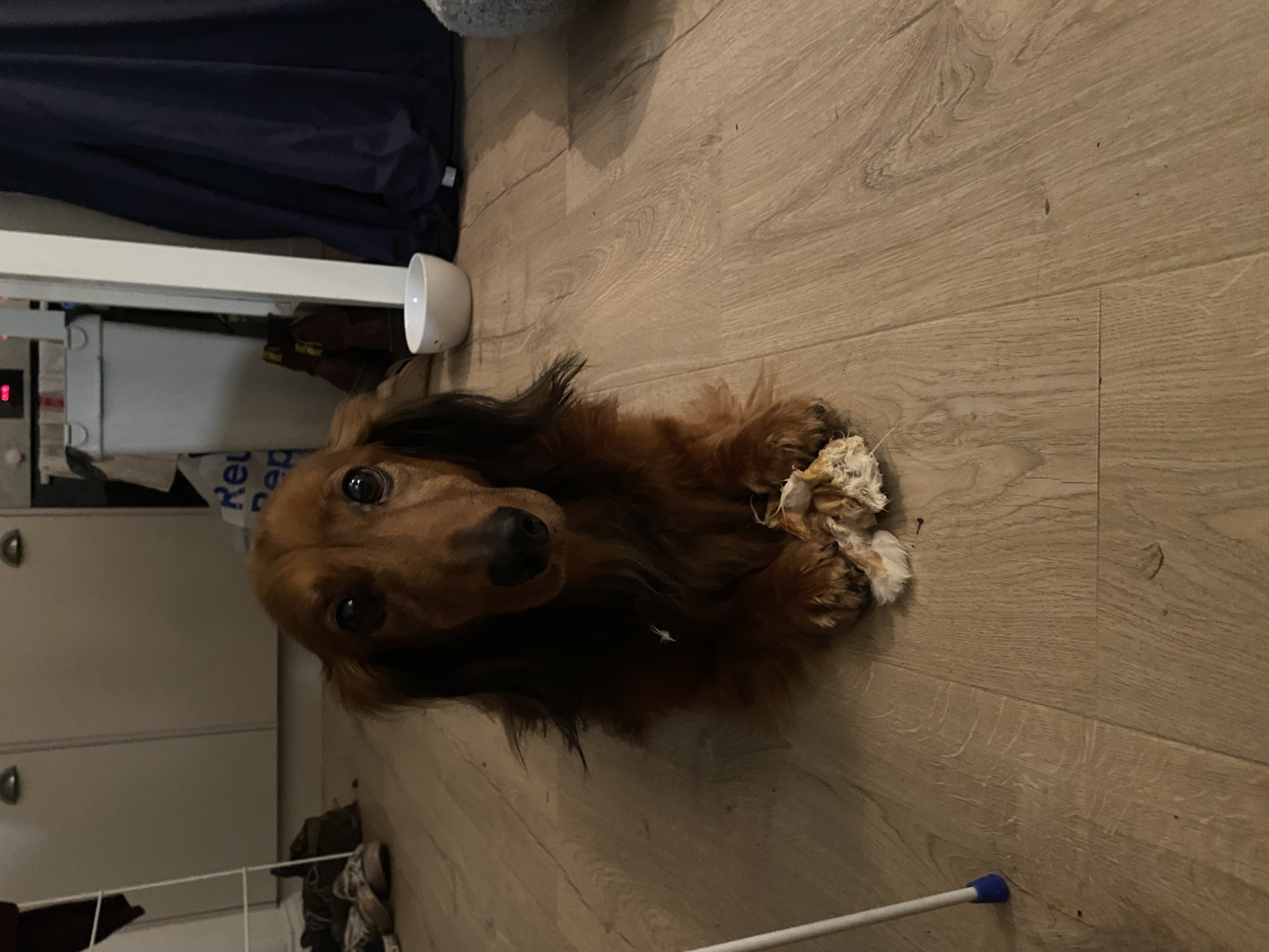 image-8