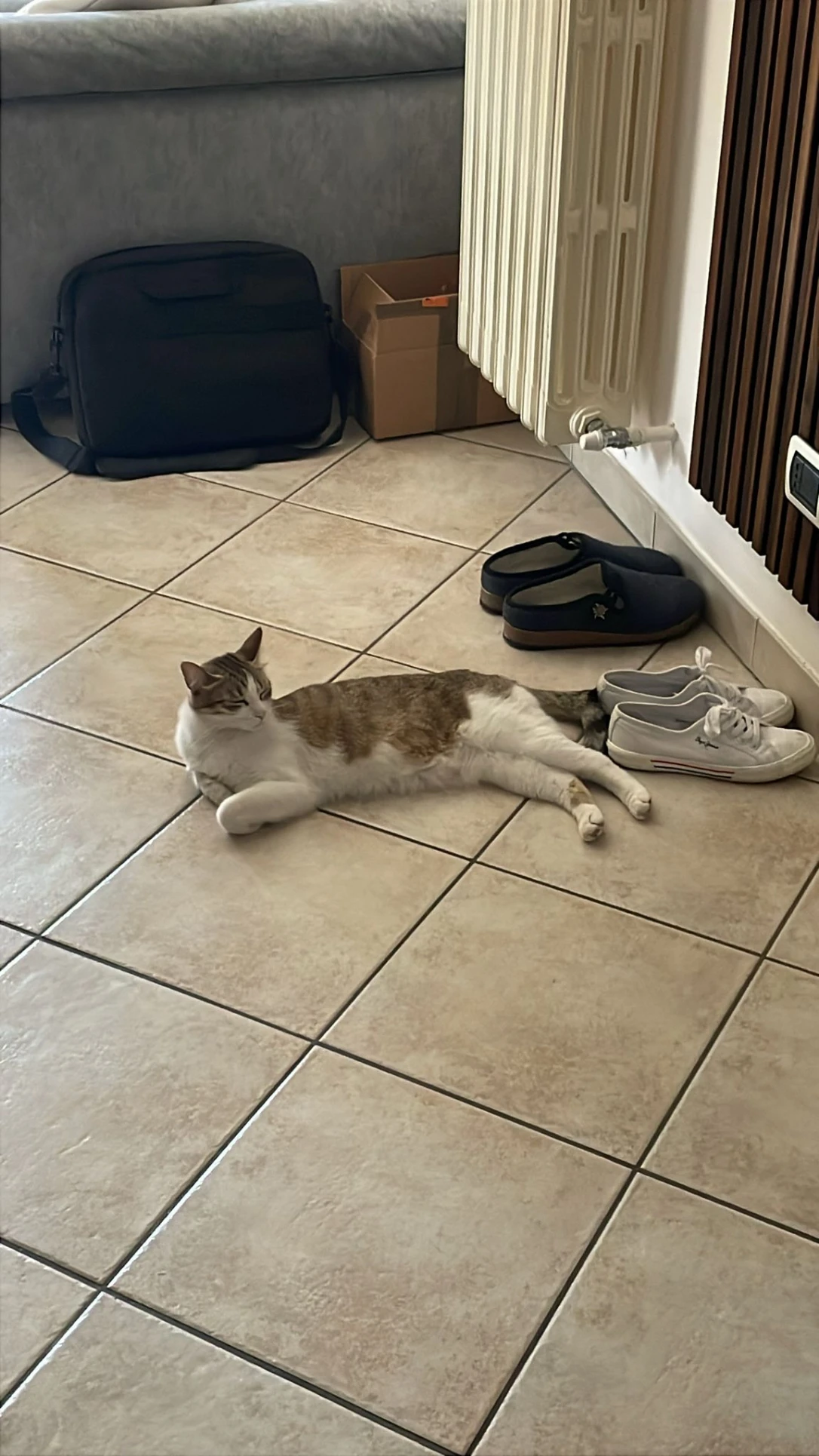 image-8