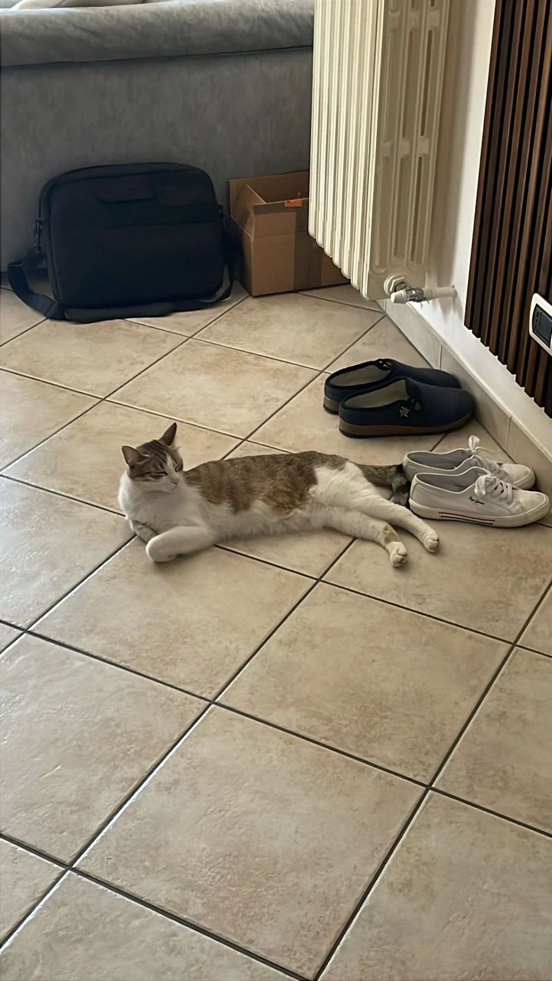 image-8