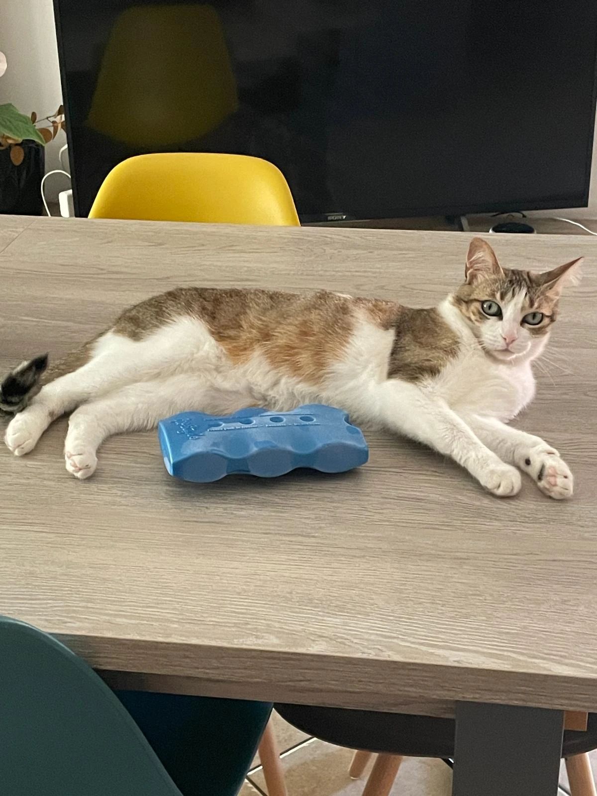 image-6
