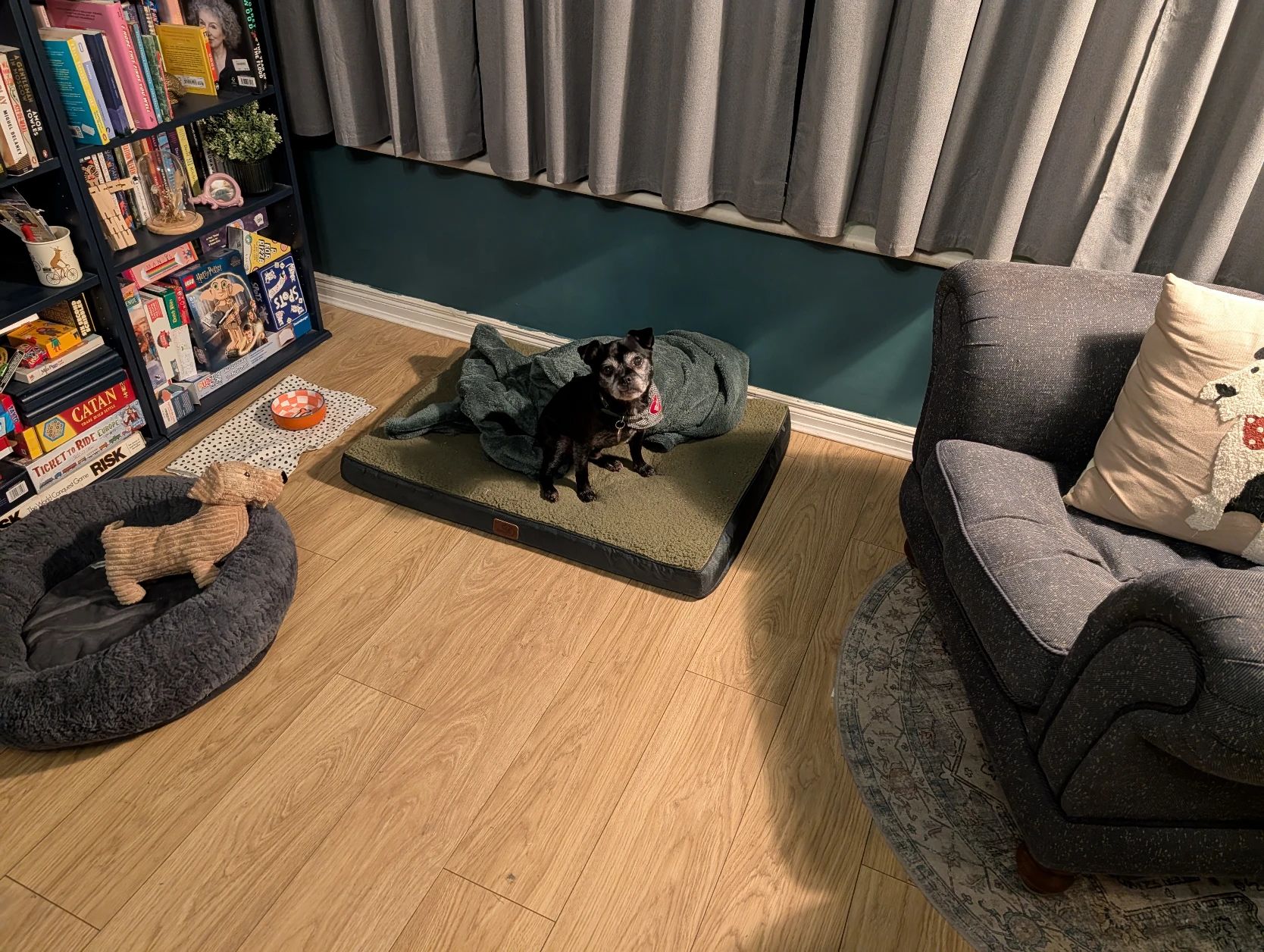 image-19