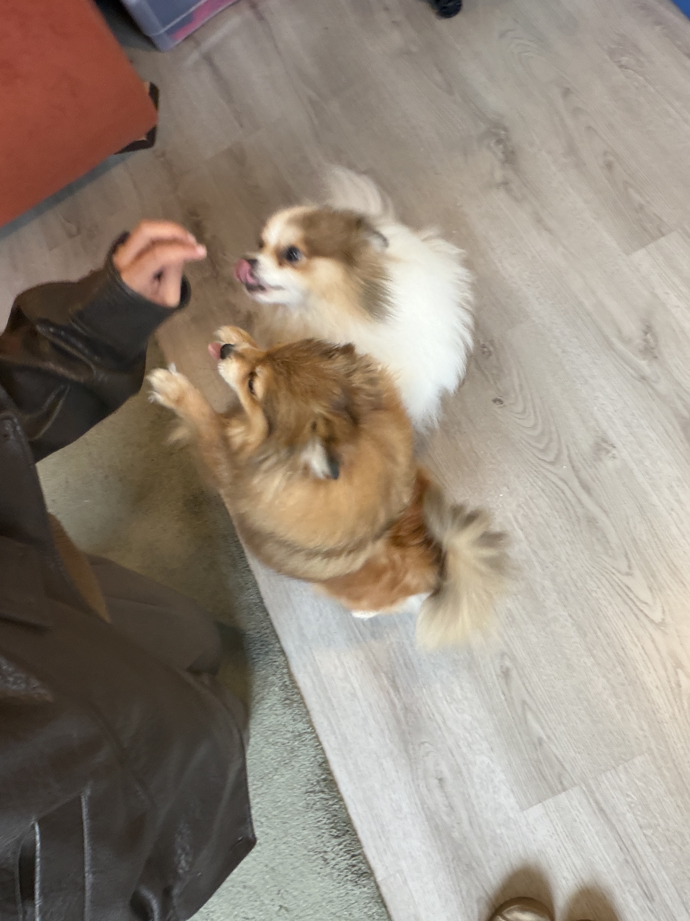 image-10