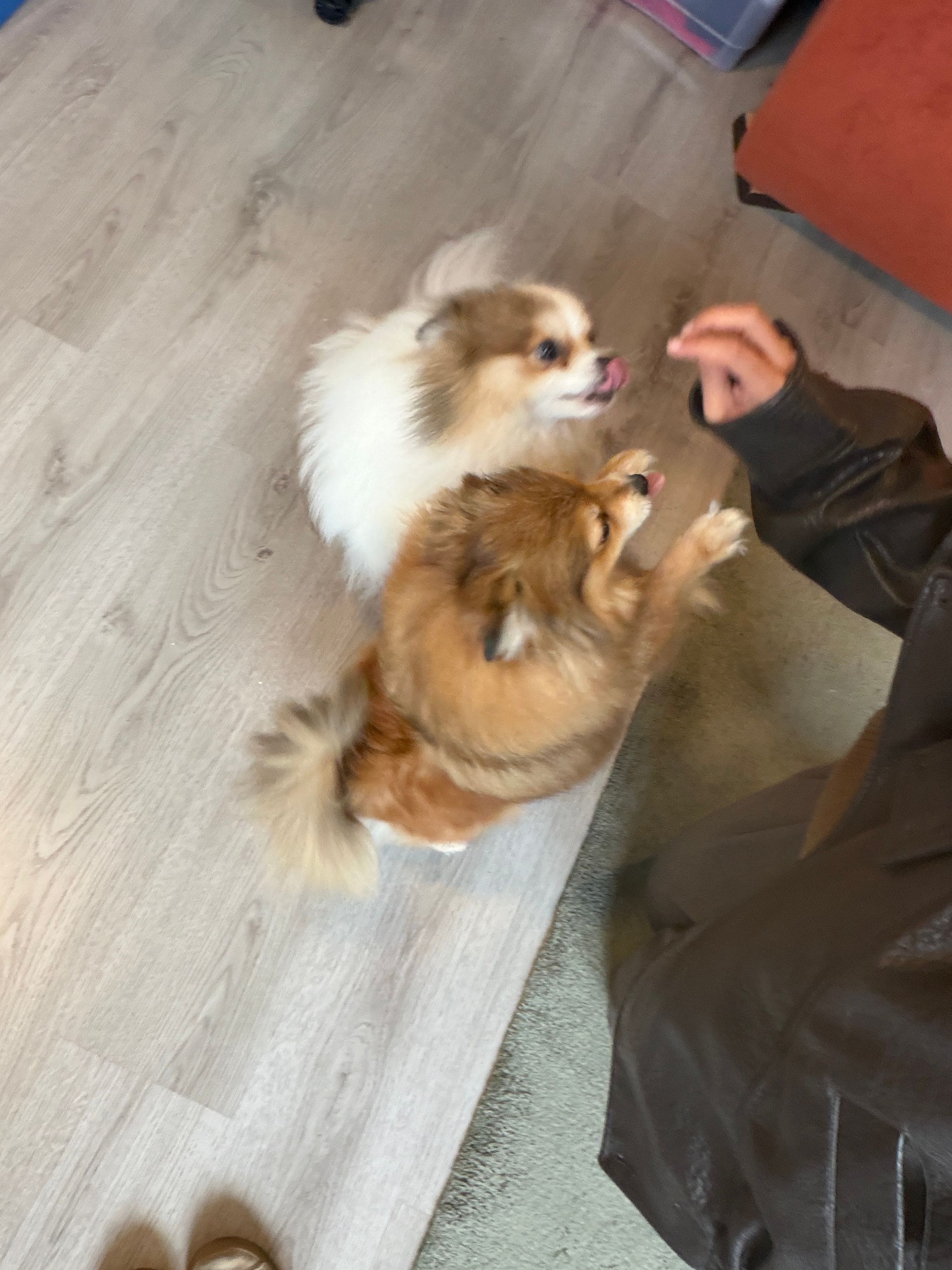 image-10