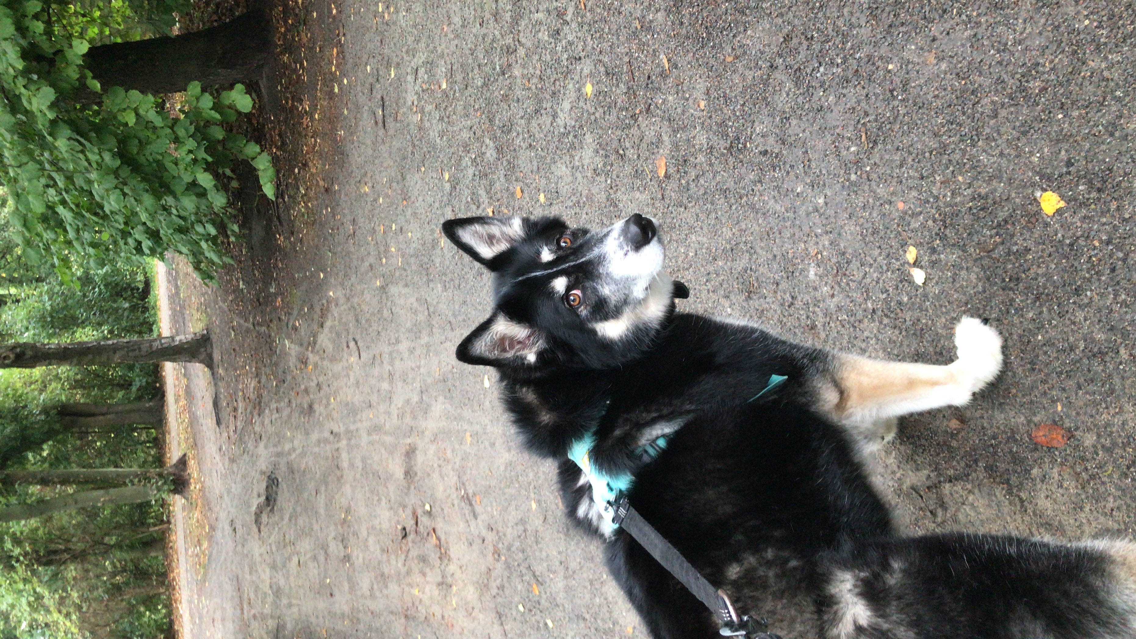 image-7