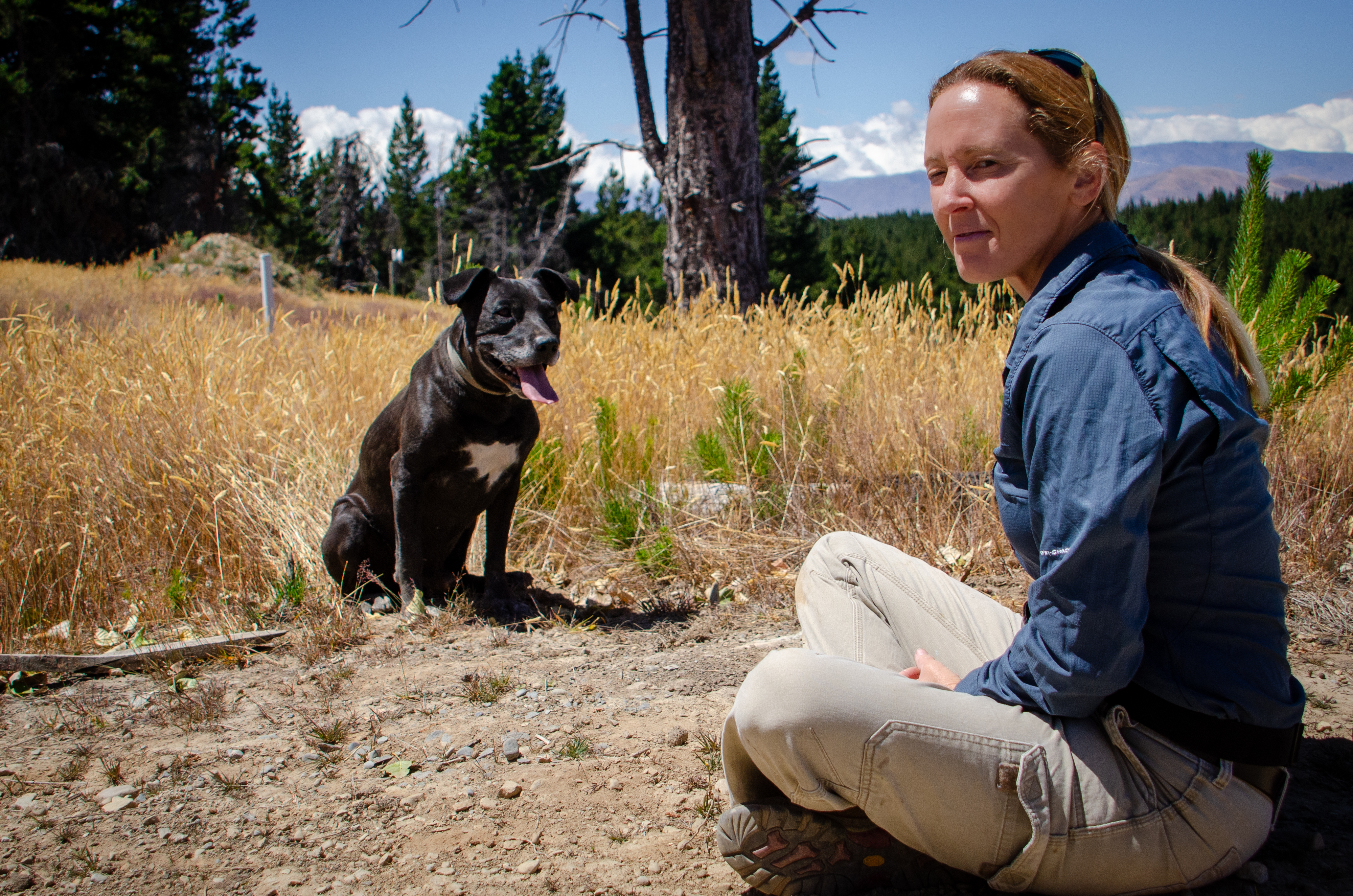 image-3
