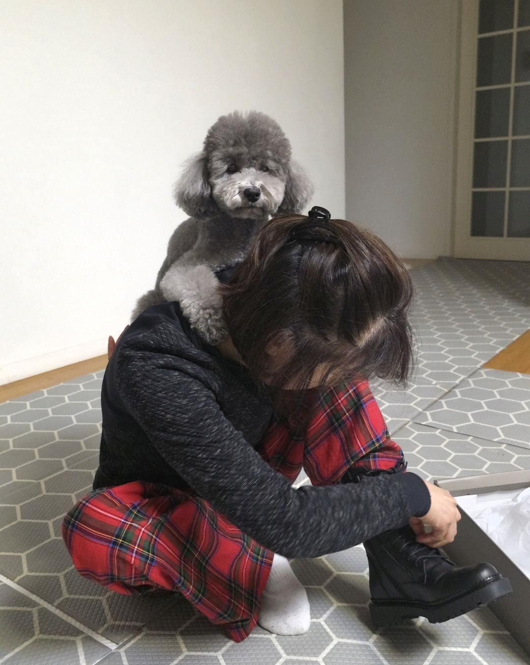 image-12