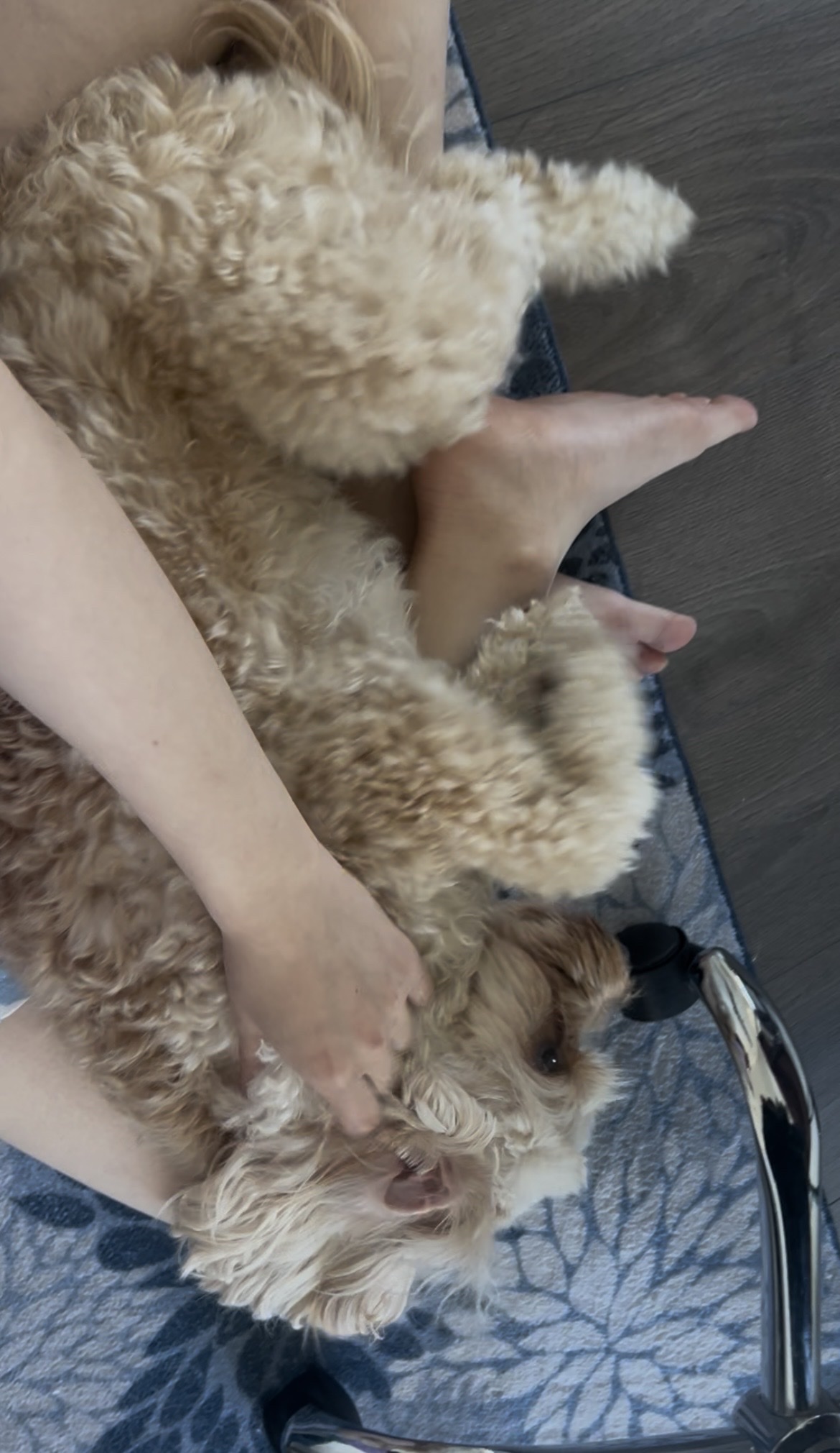 image-8