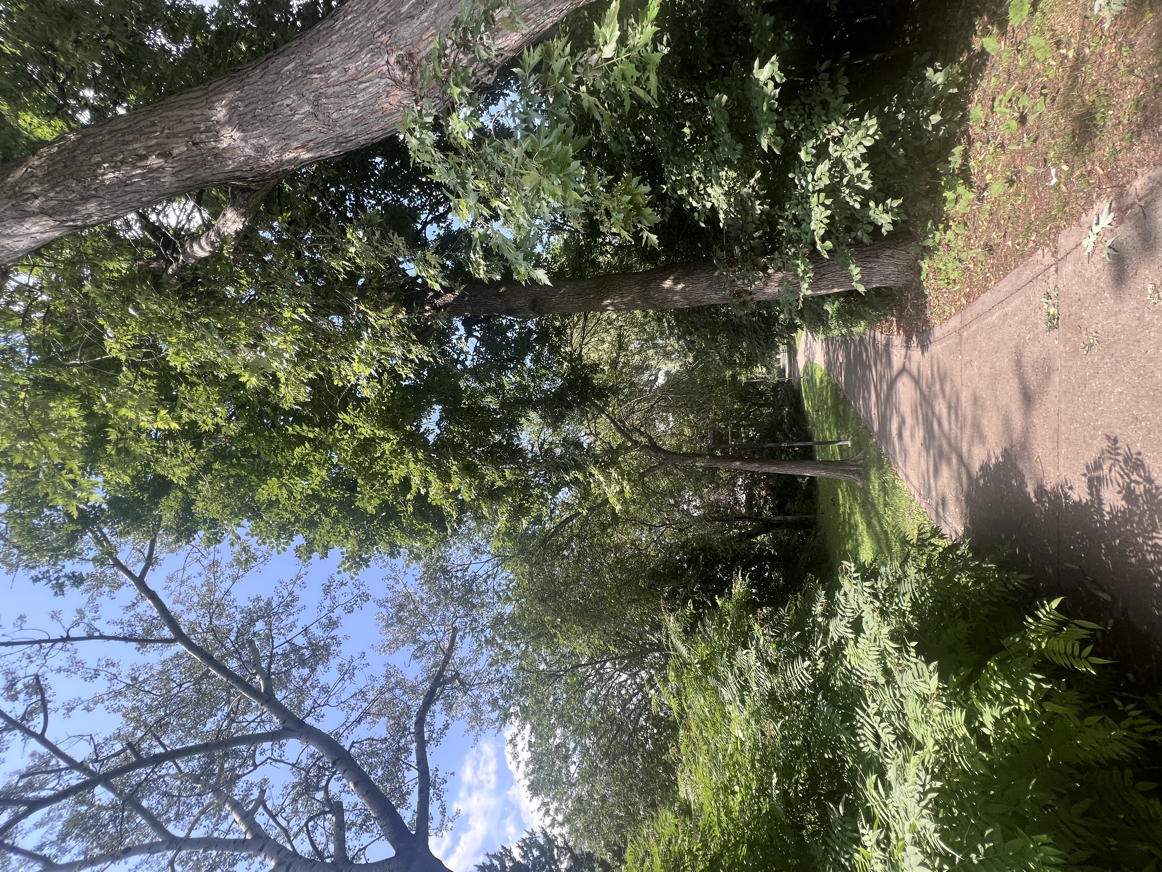 image-16