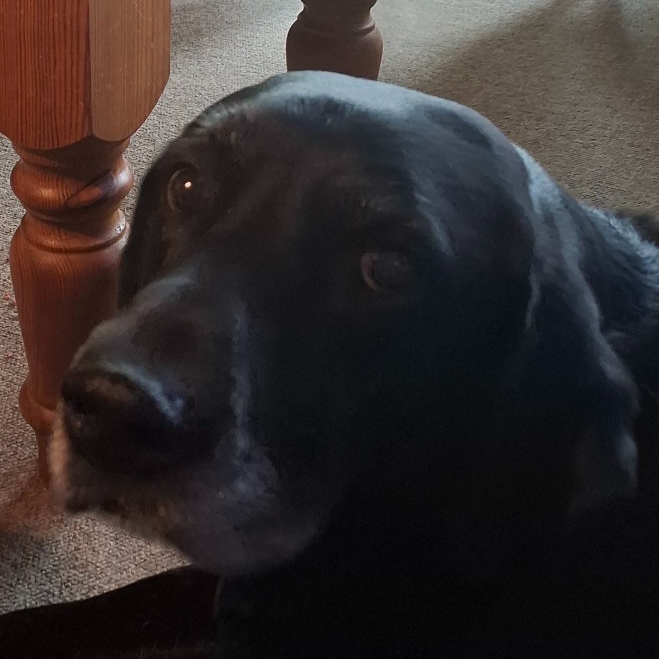 Stanley