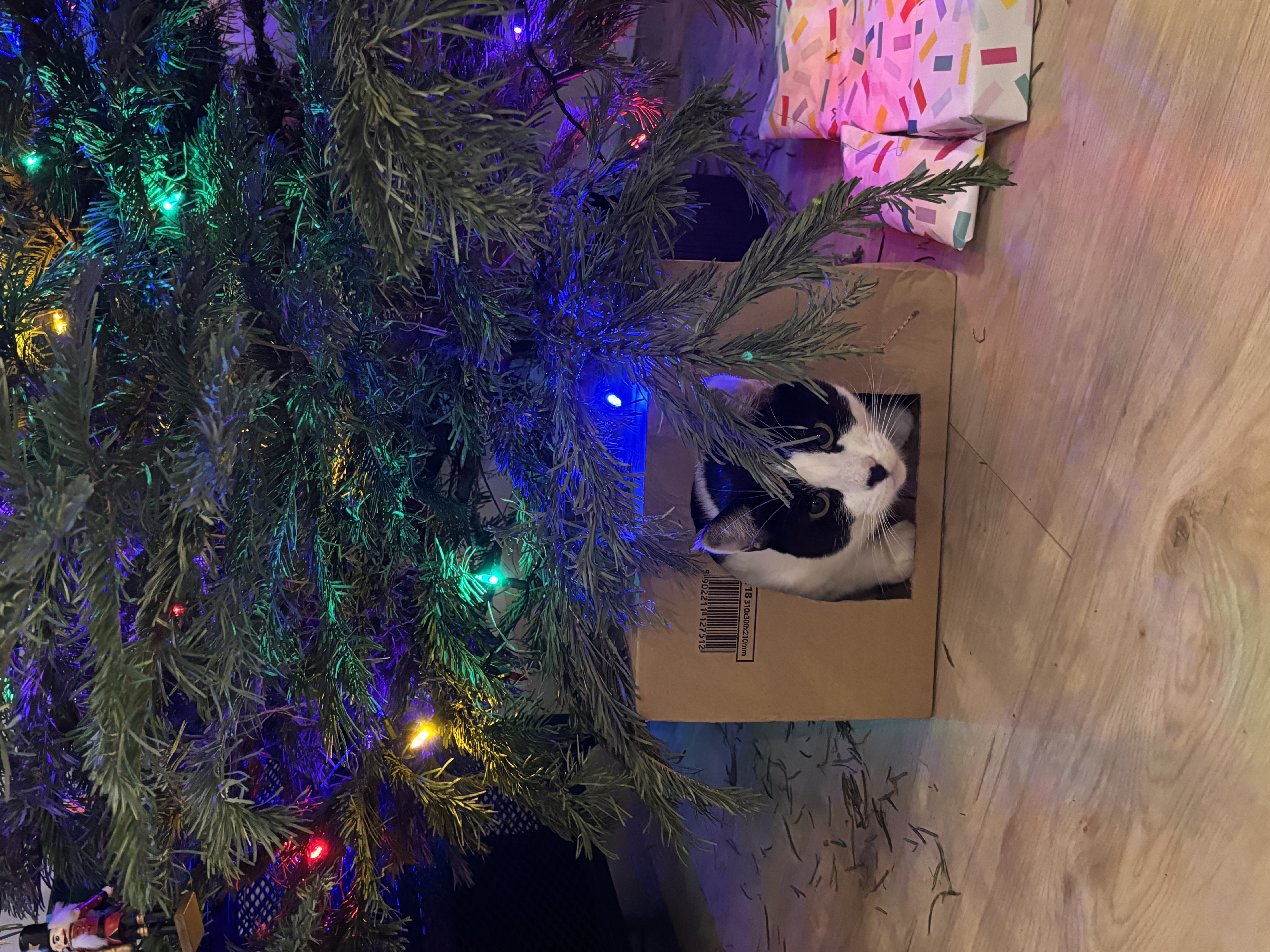 image-15