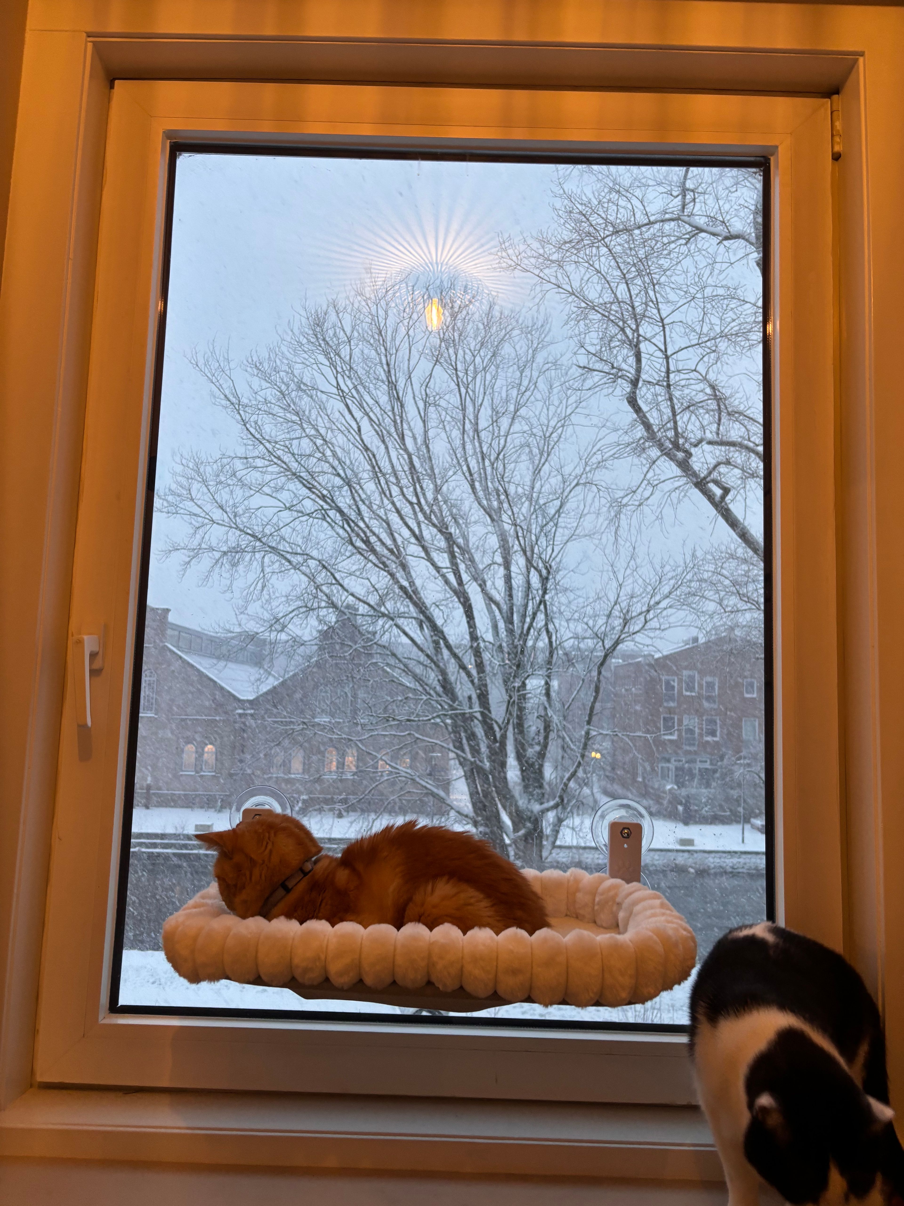 image-14