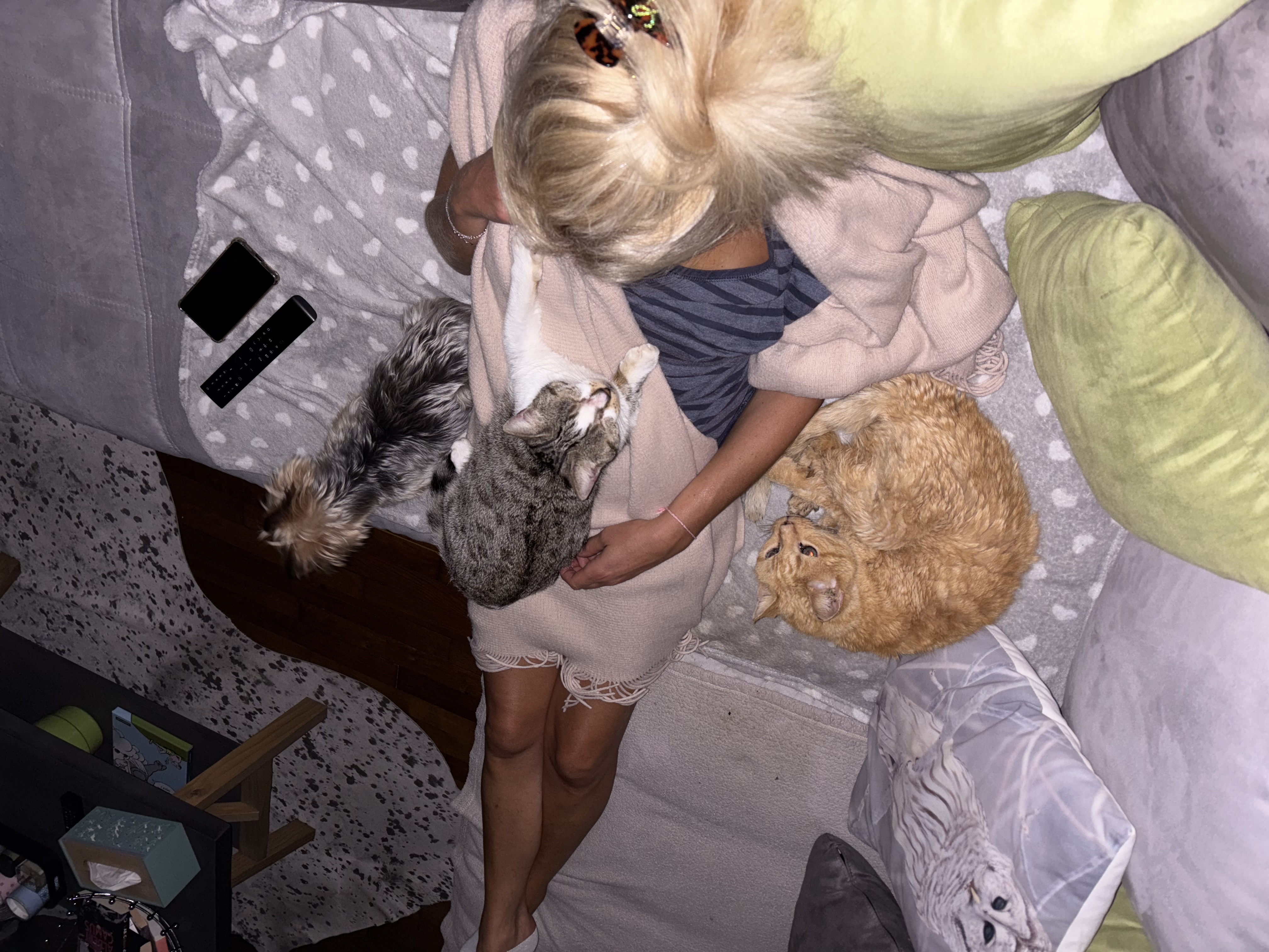 image-8