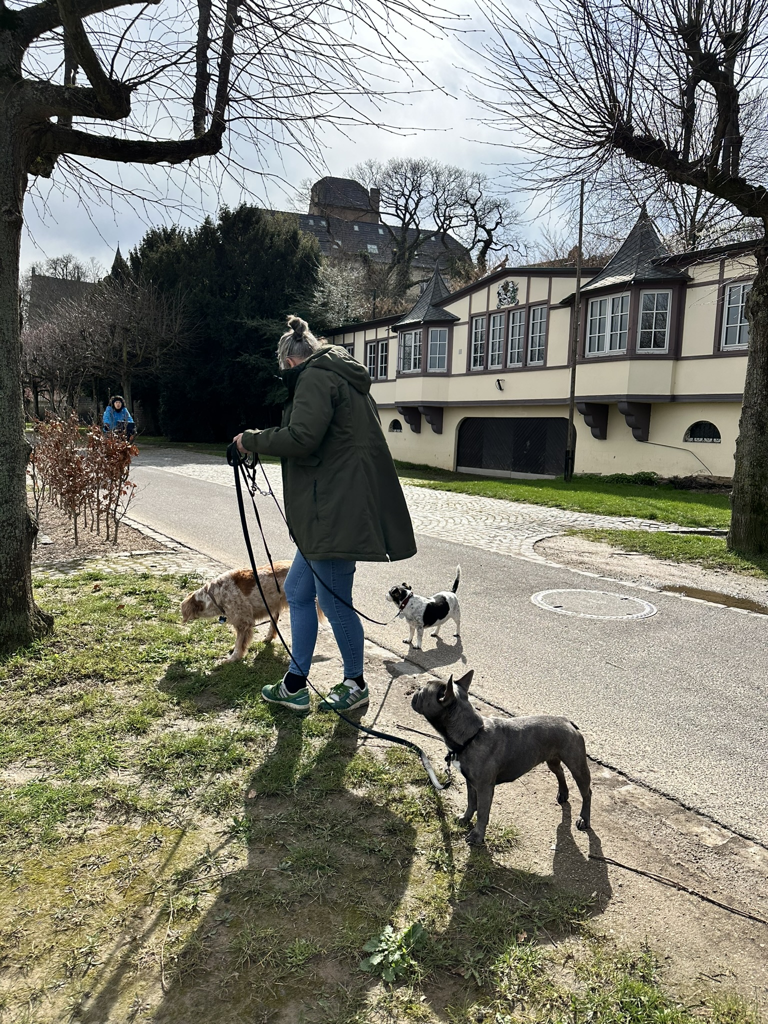 image-12