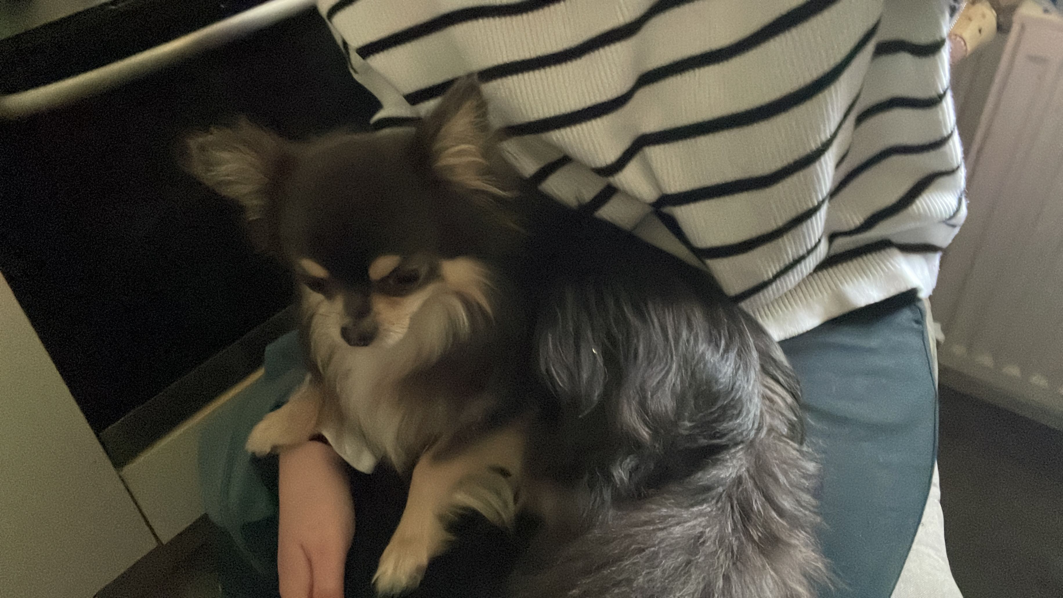 image-8