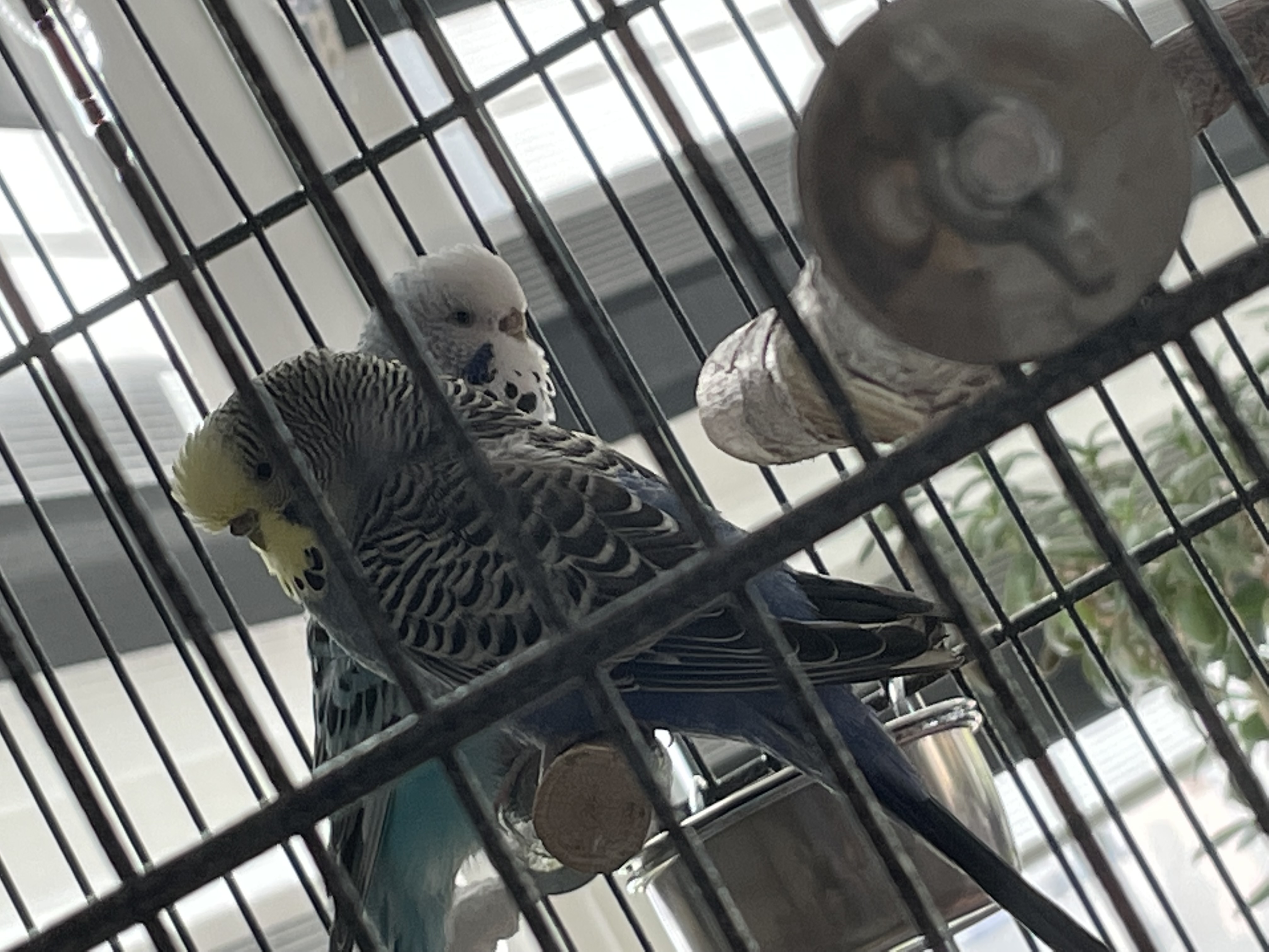 image-12