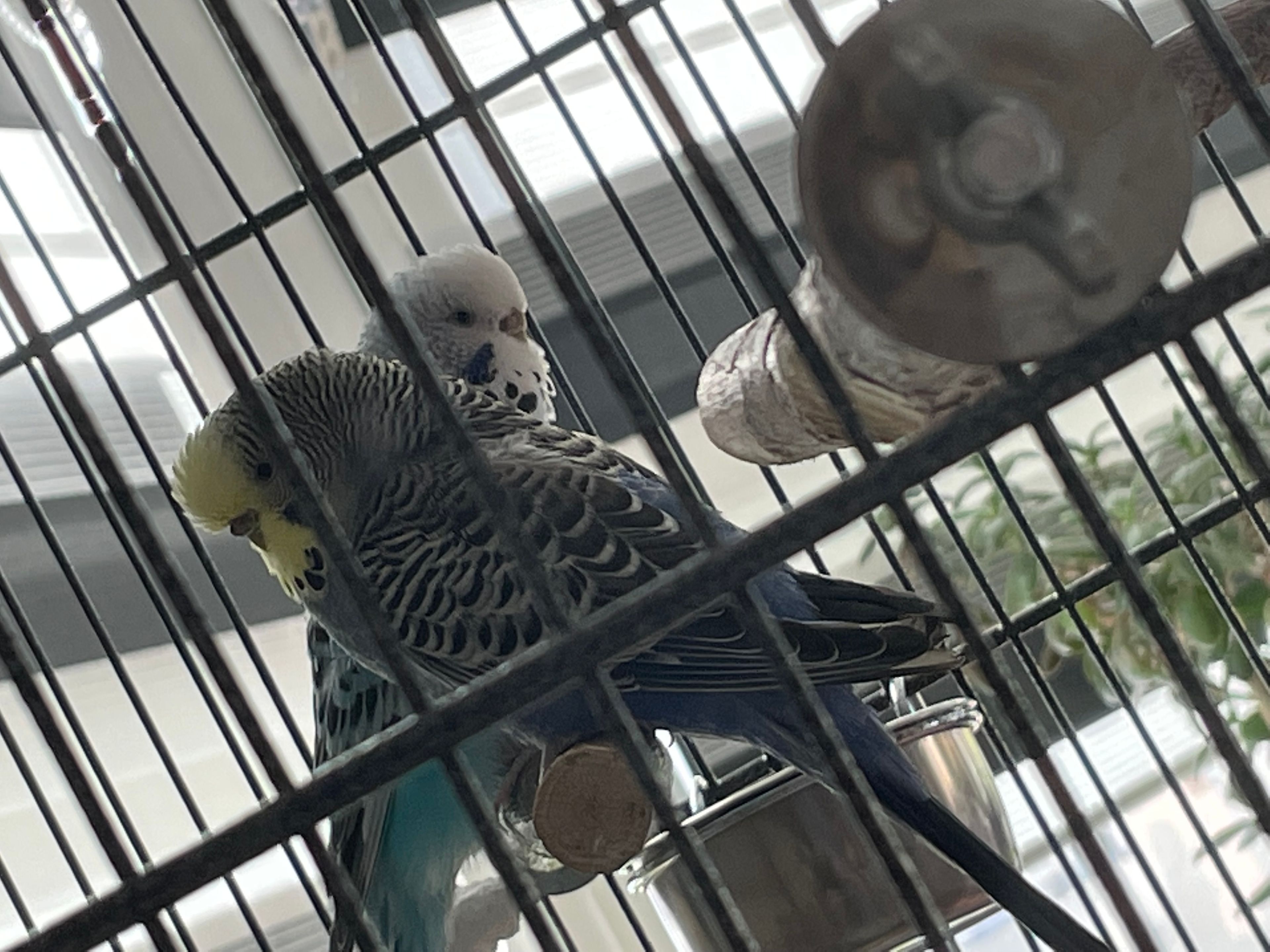 image-12