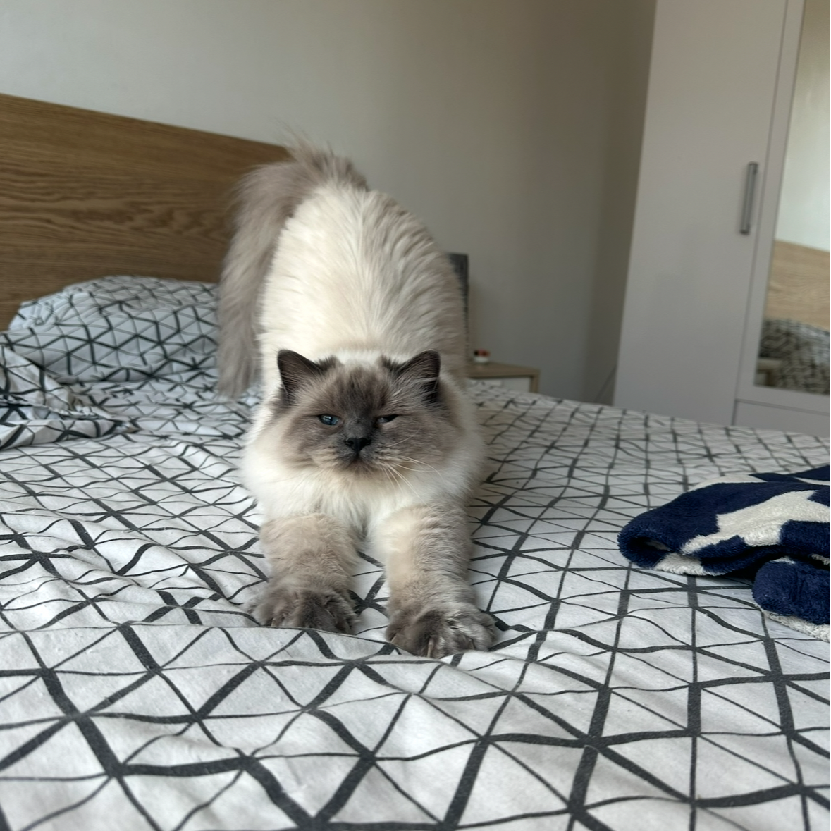 Yuki