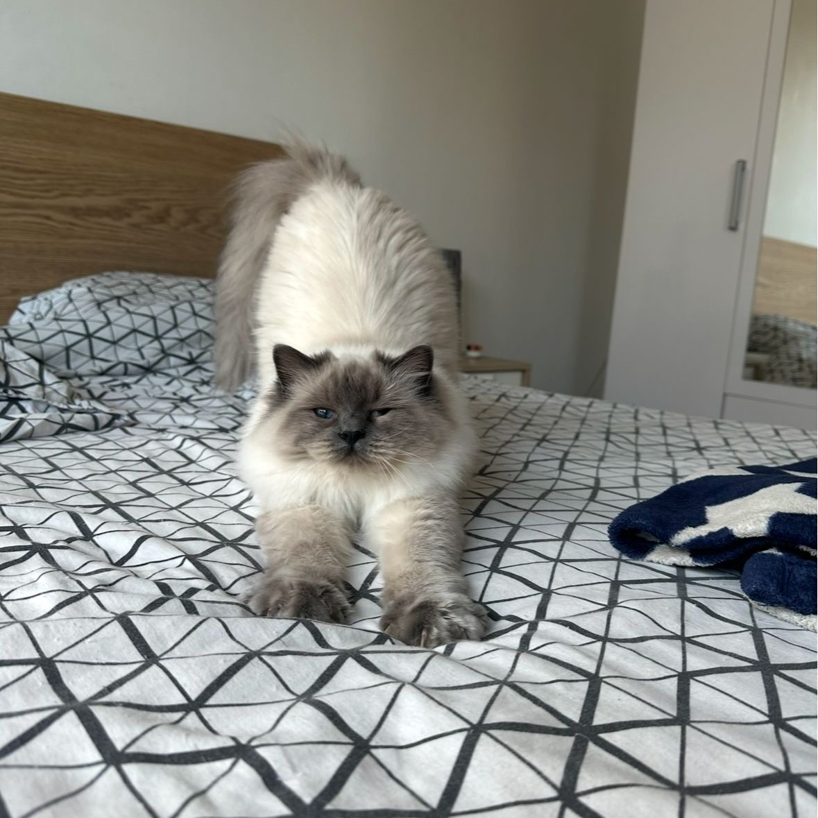 Yuki