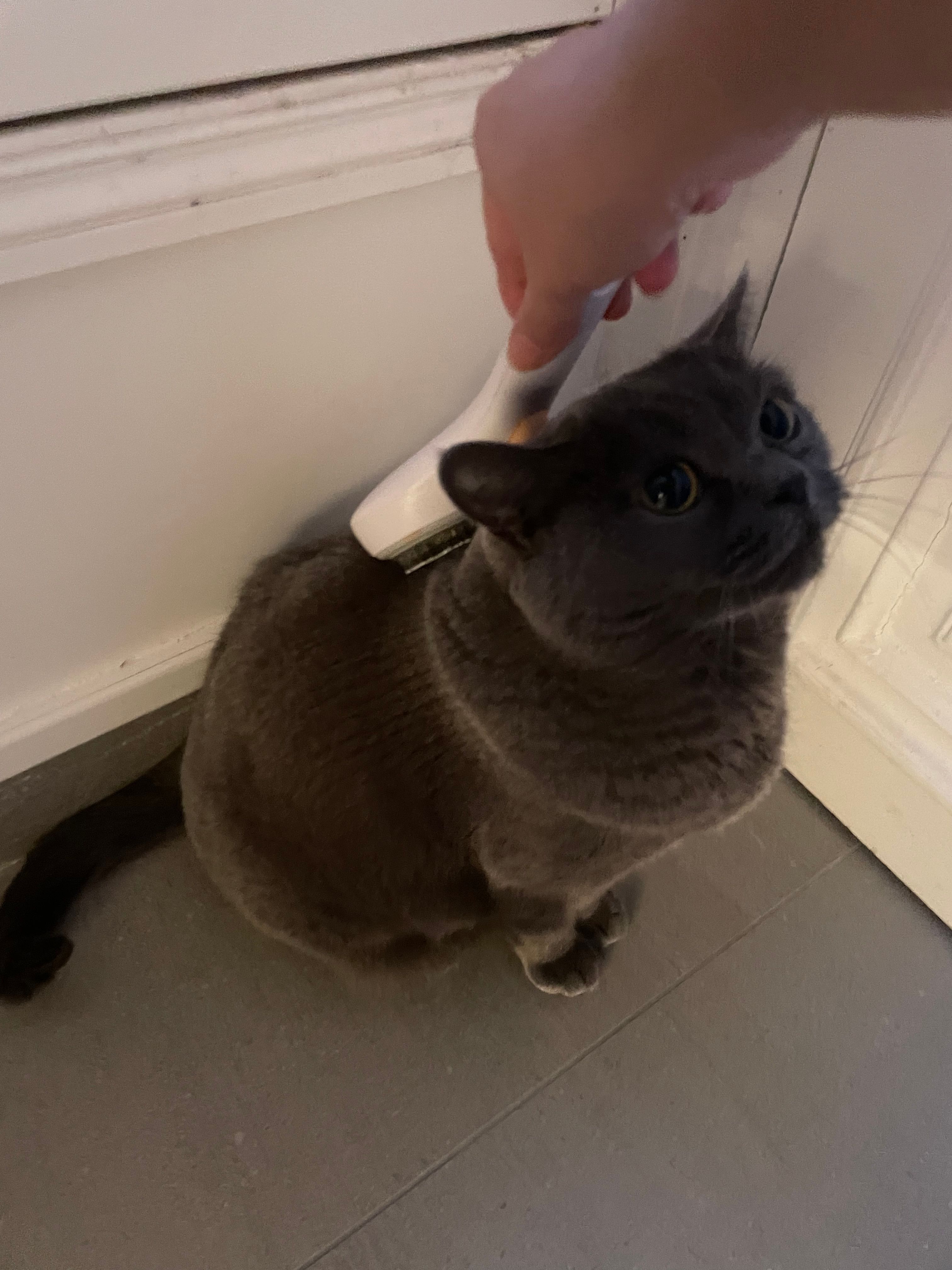 image-10