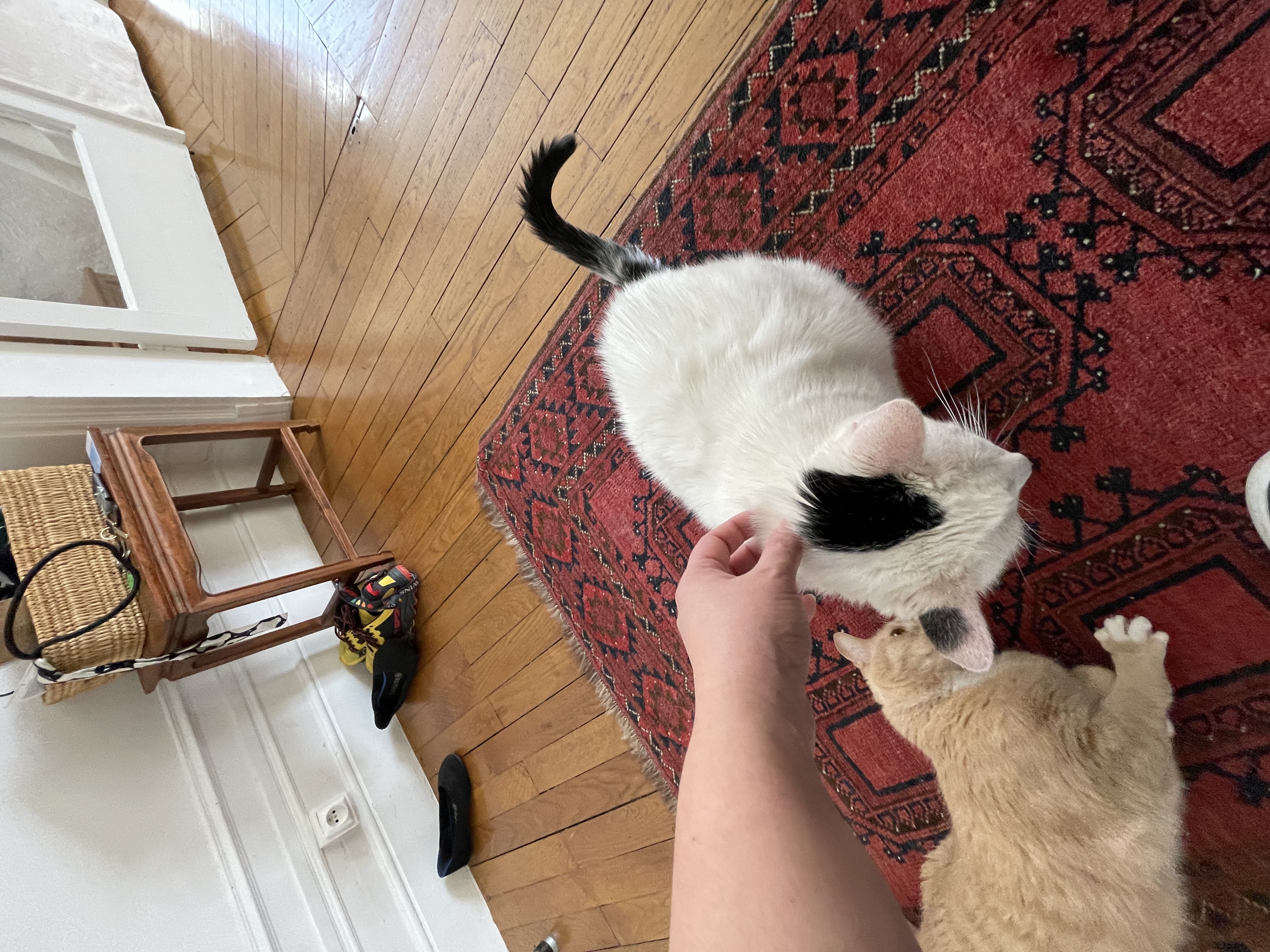 image-12