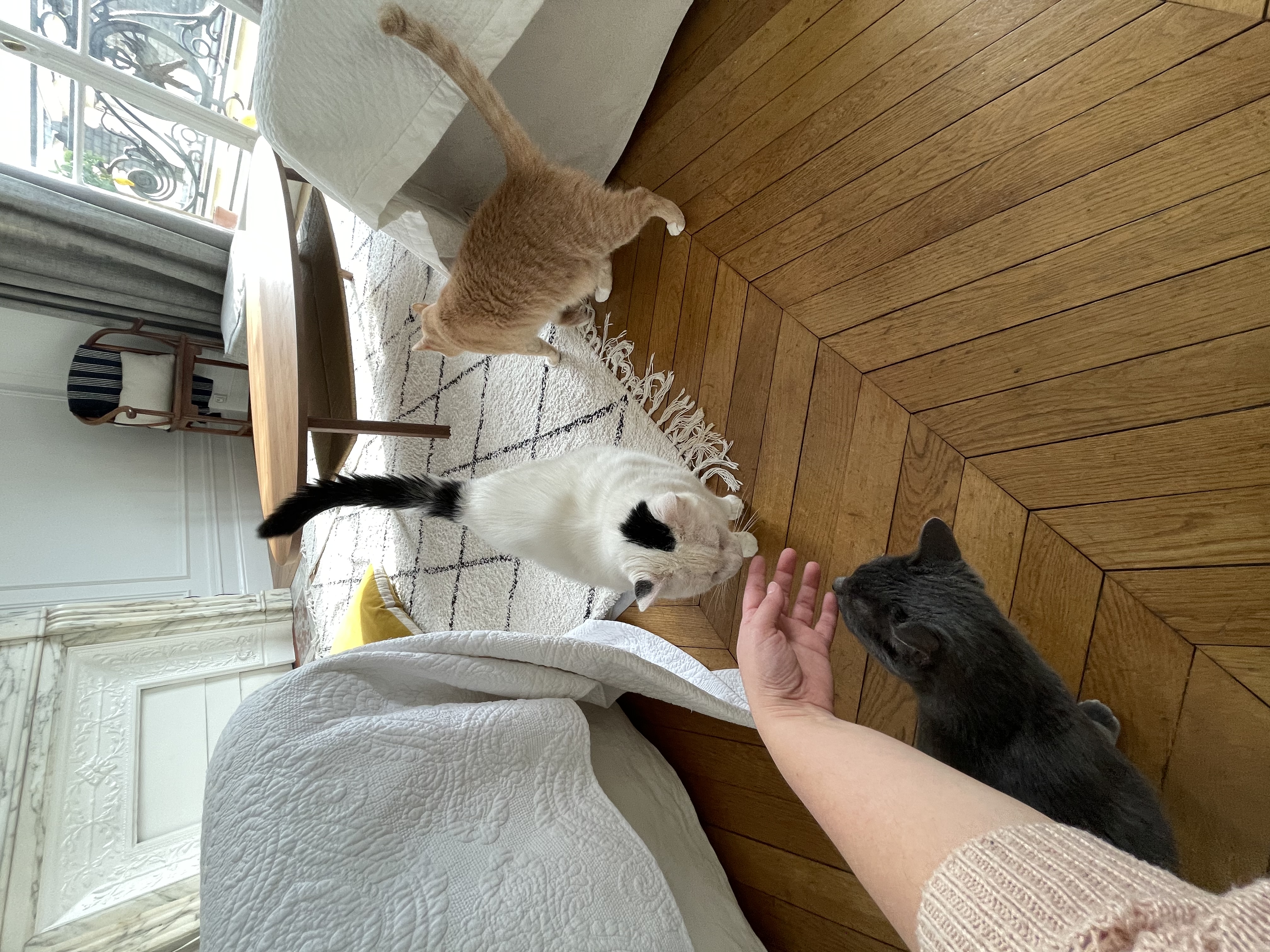 image-6
