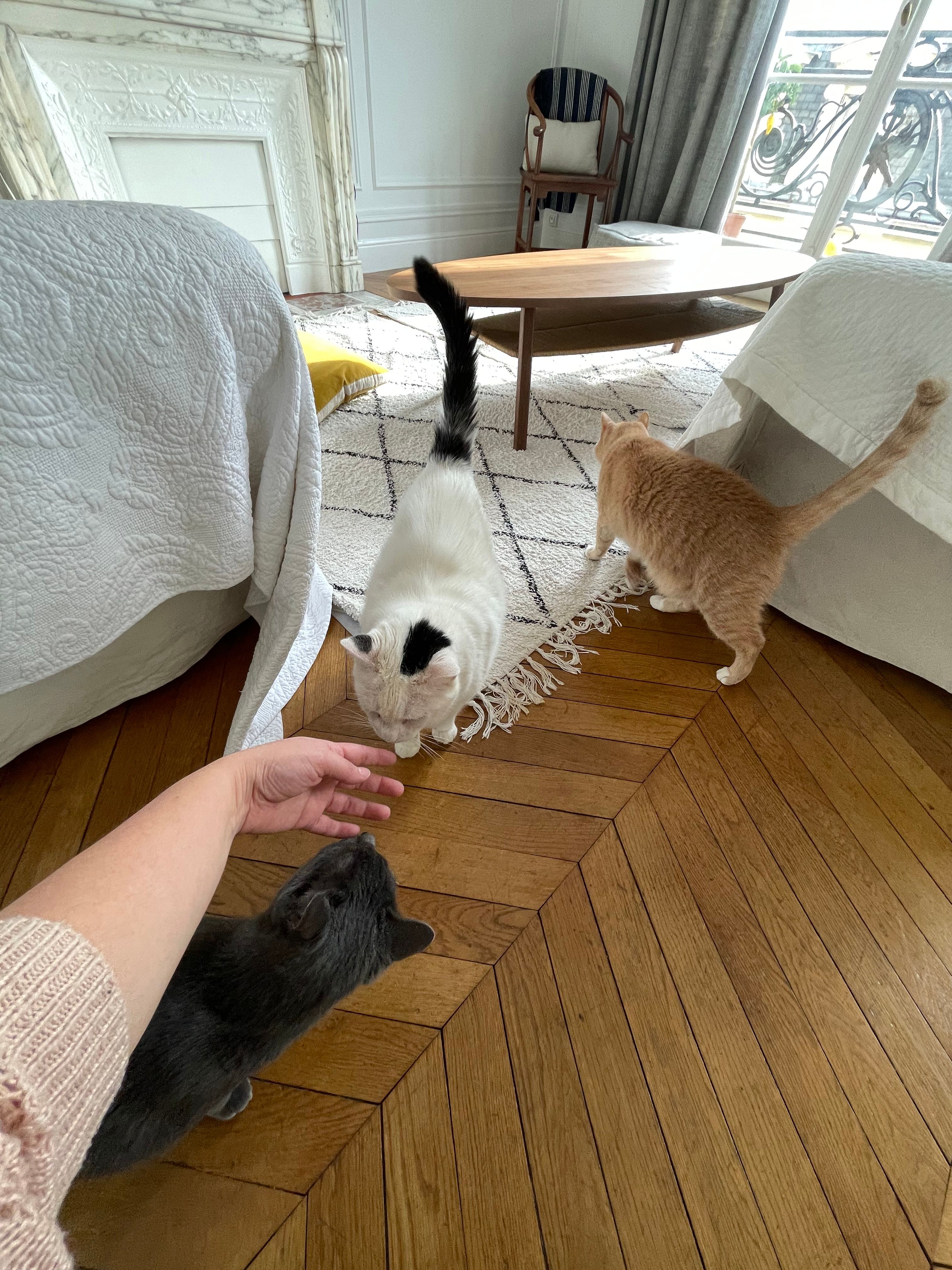image-6