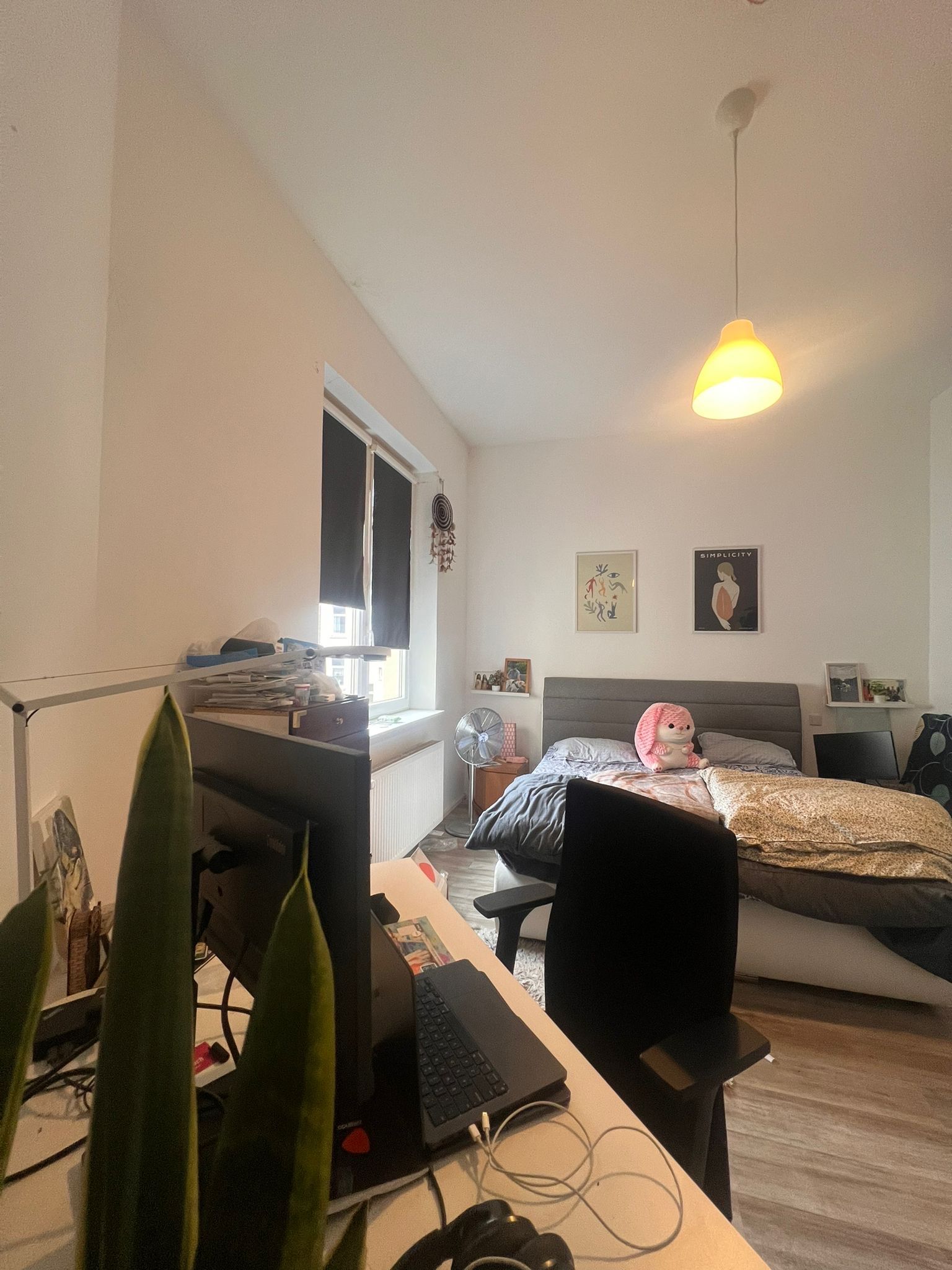 image-16