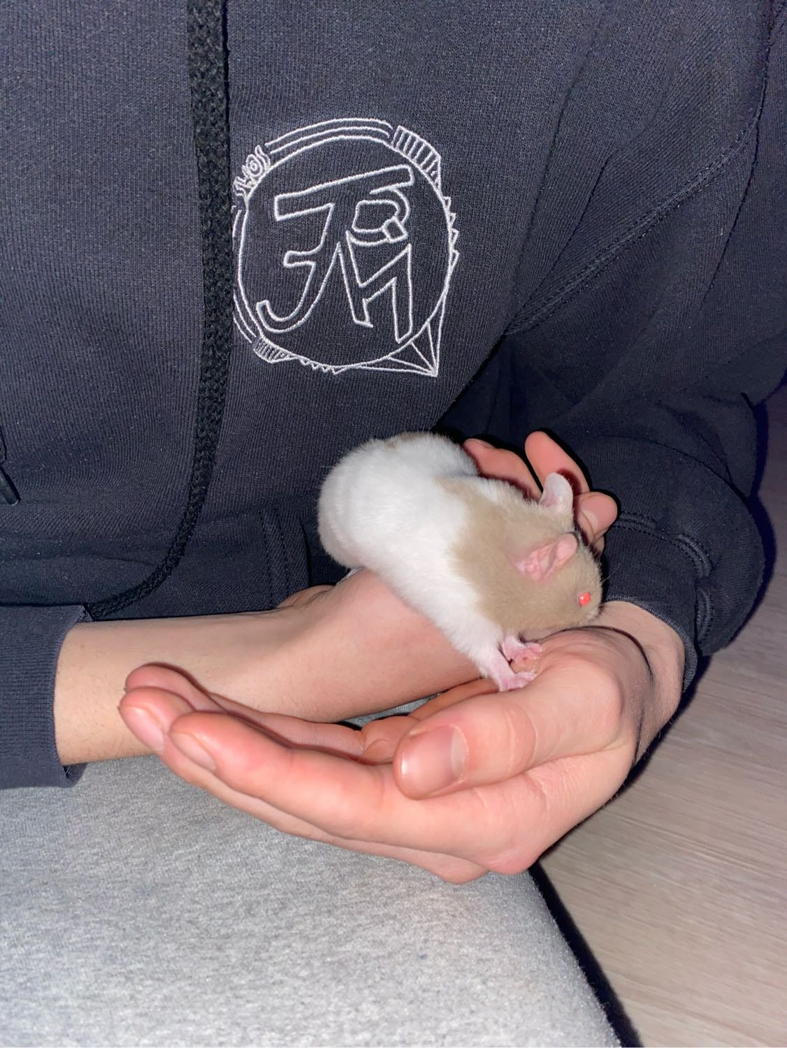 image-6