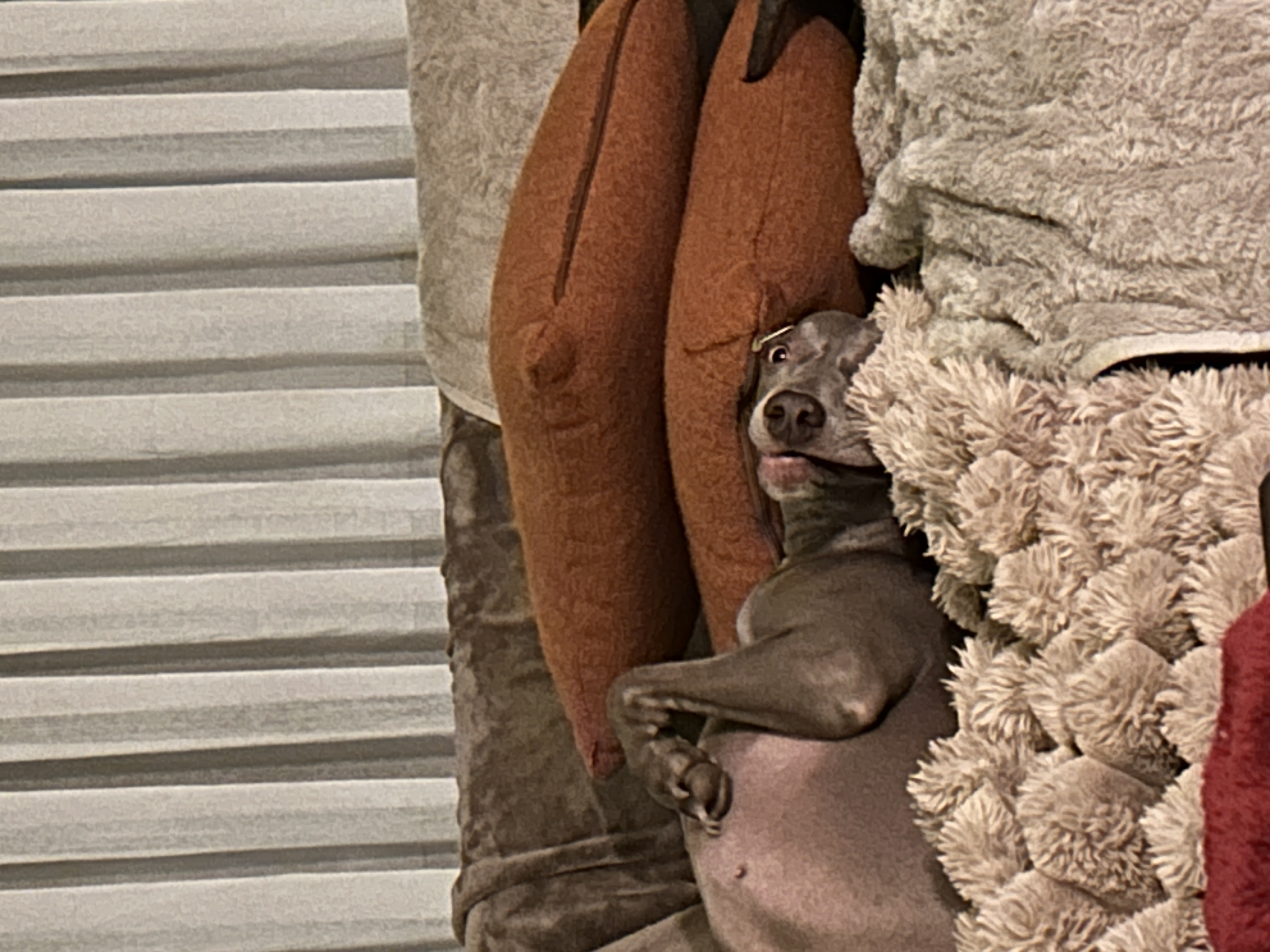 image-14