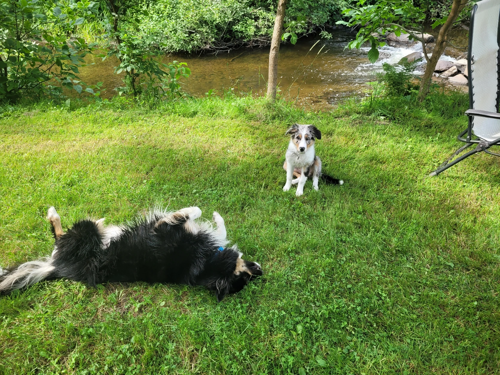 image-16