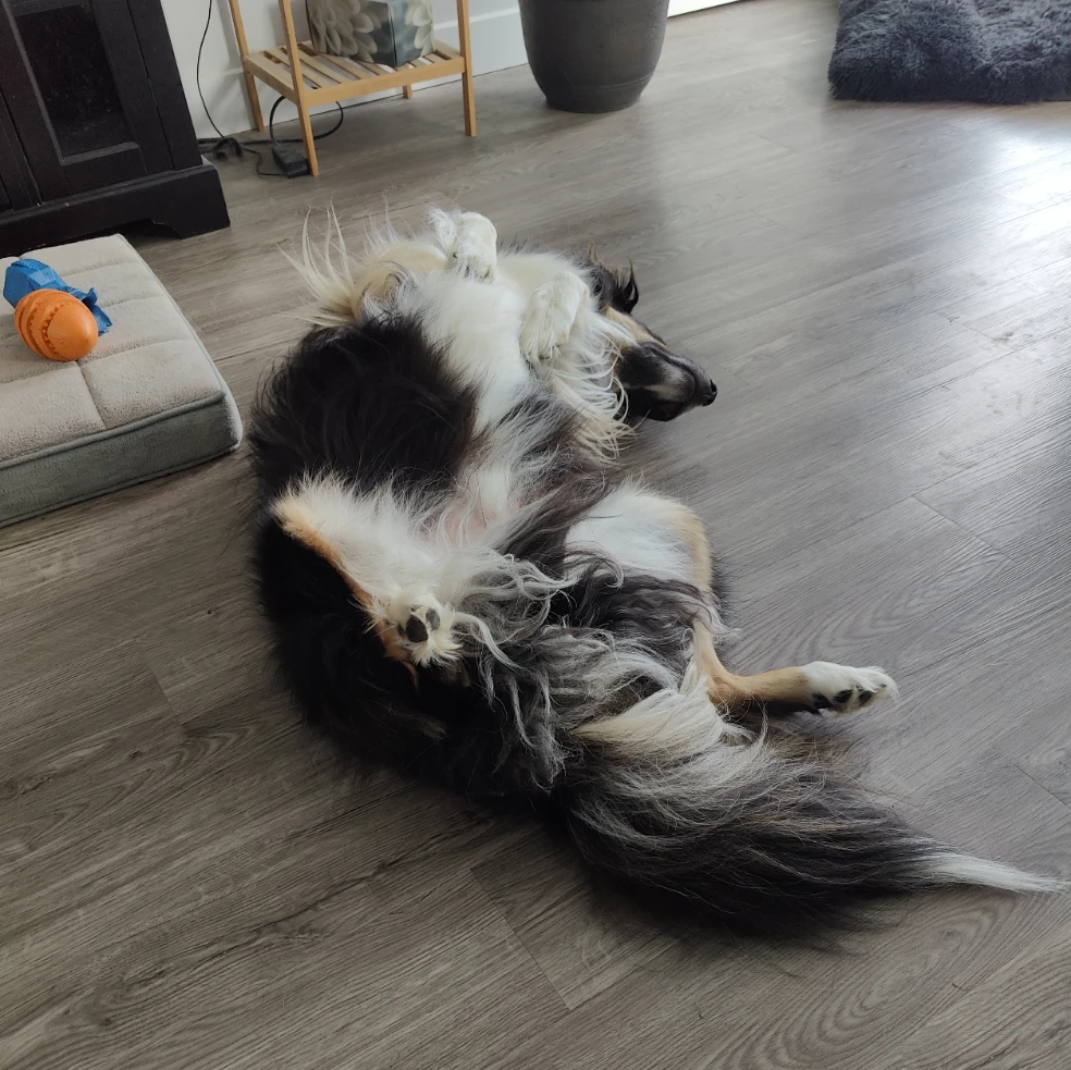 Moomba