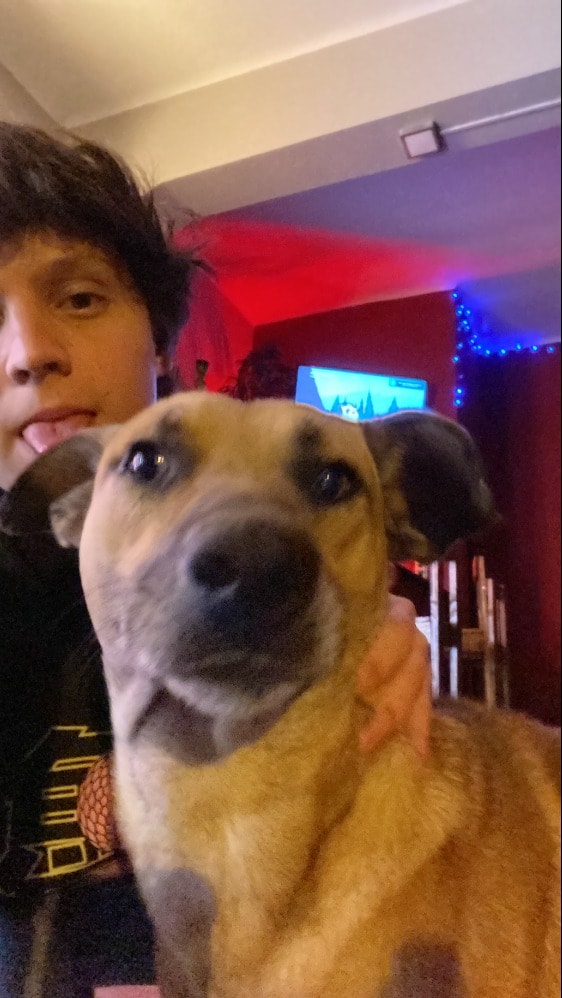 image-6