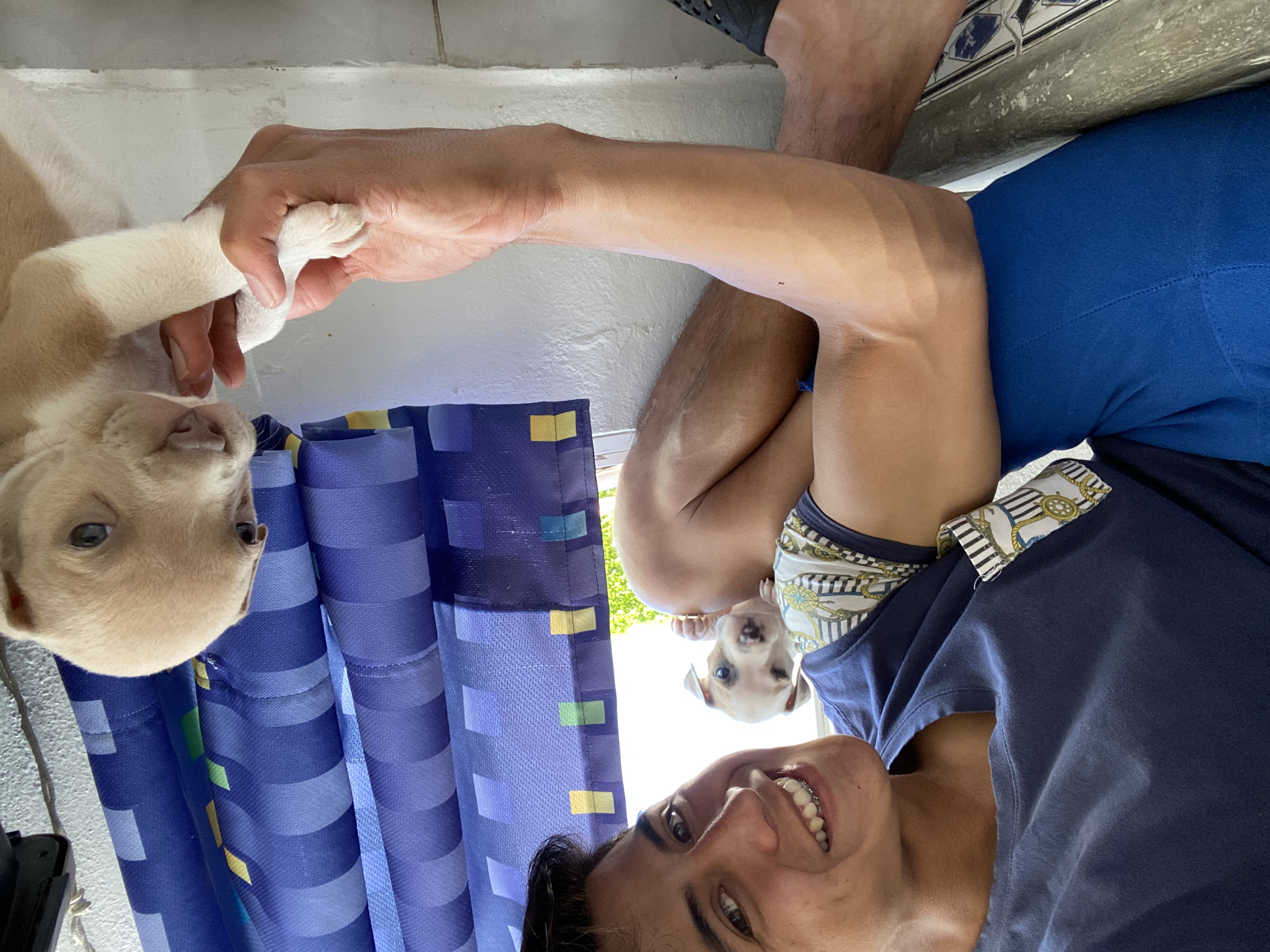 image-5