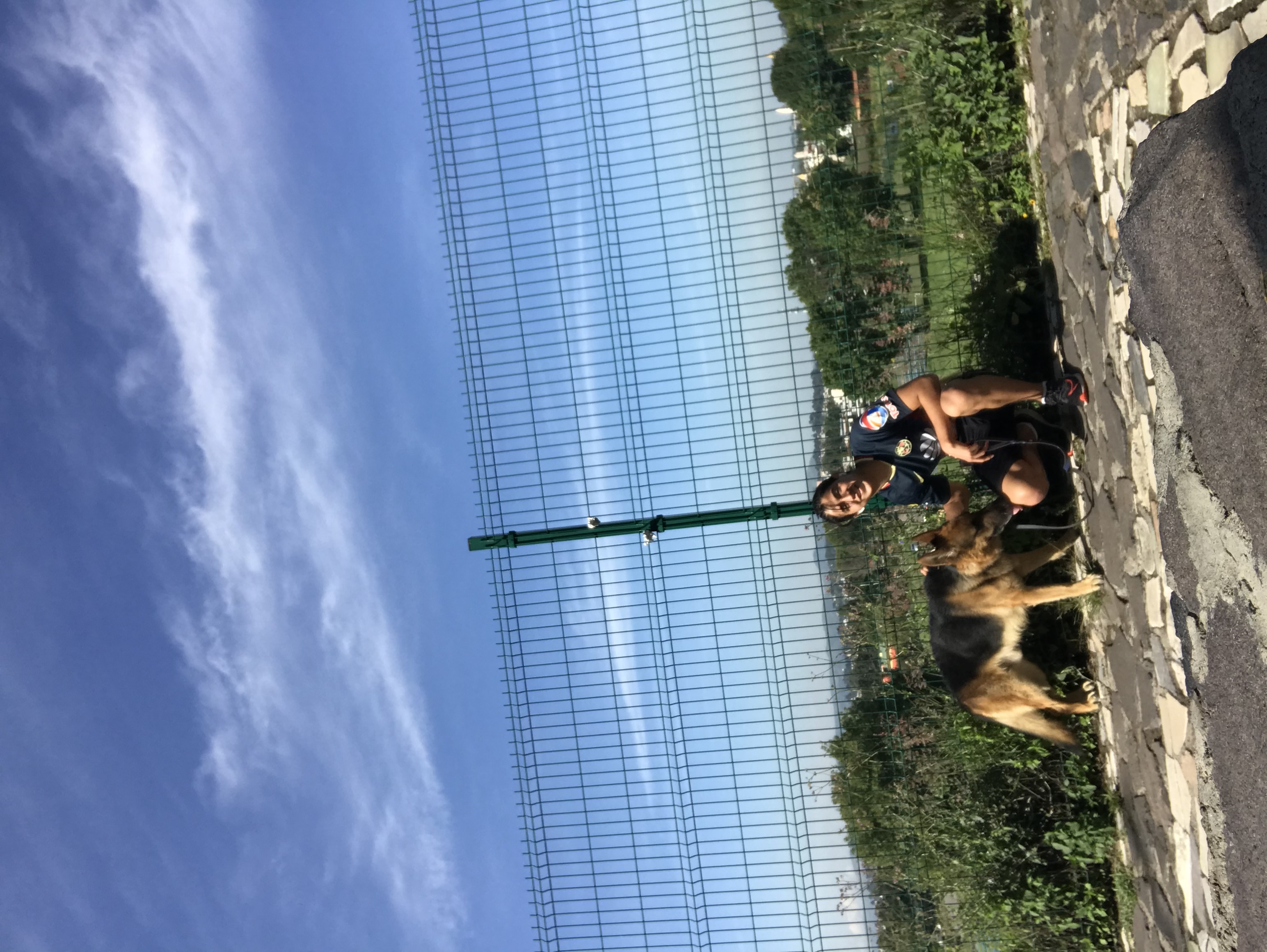 image-6