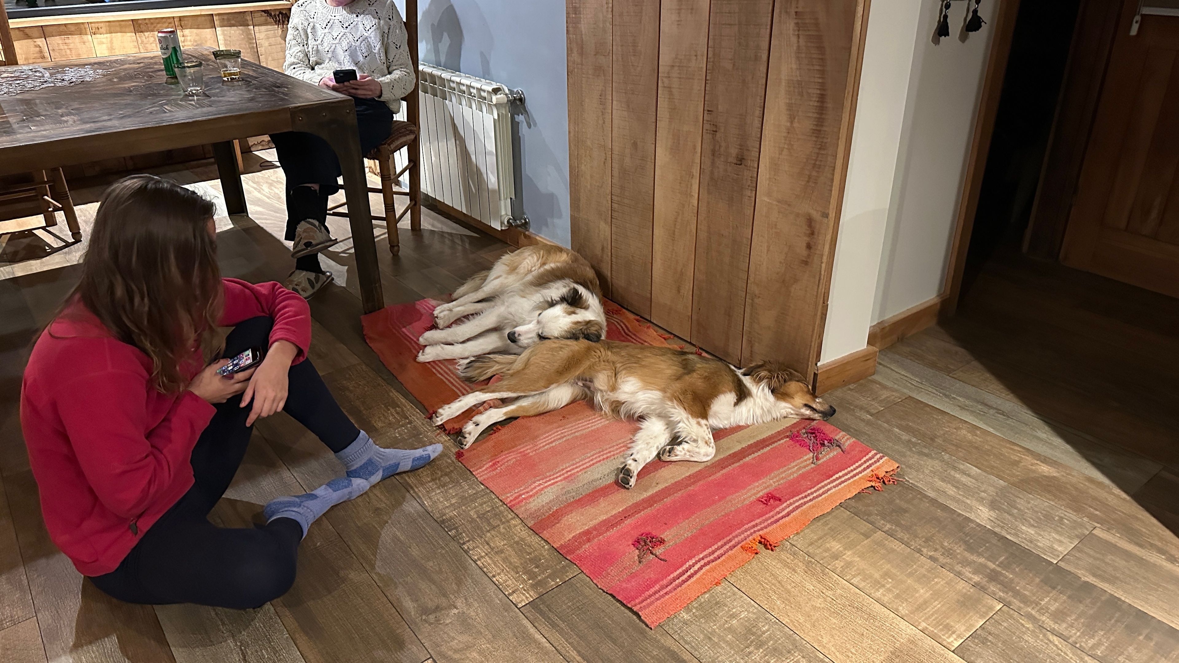 image-17