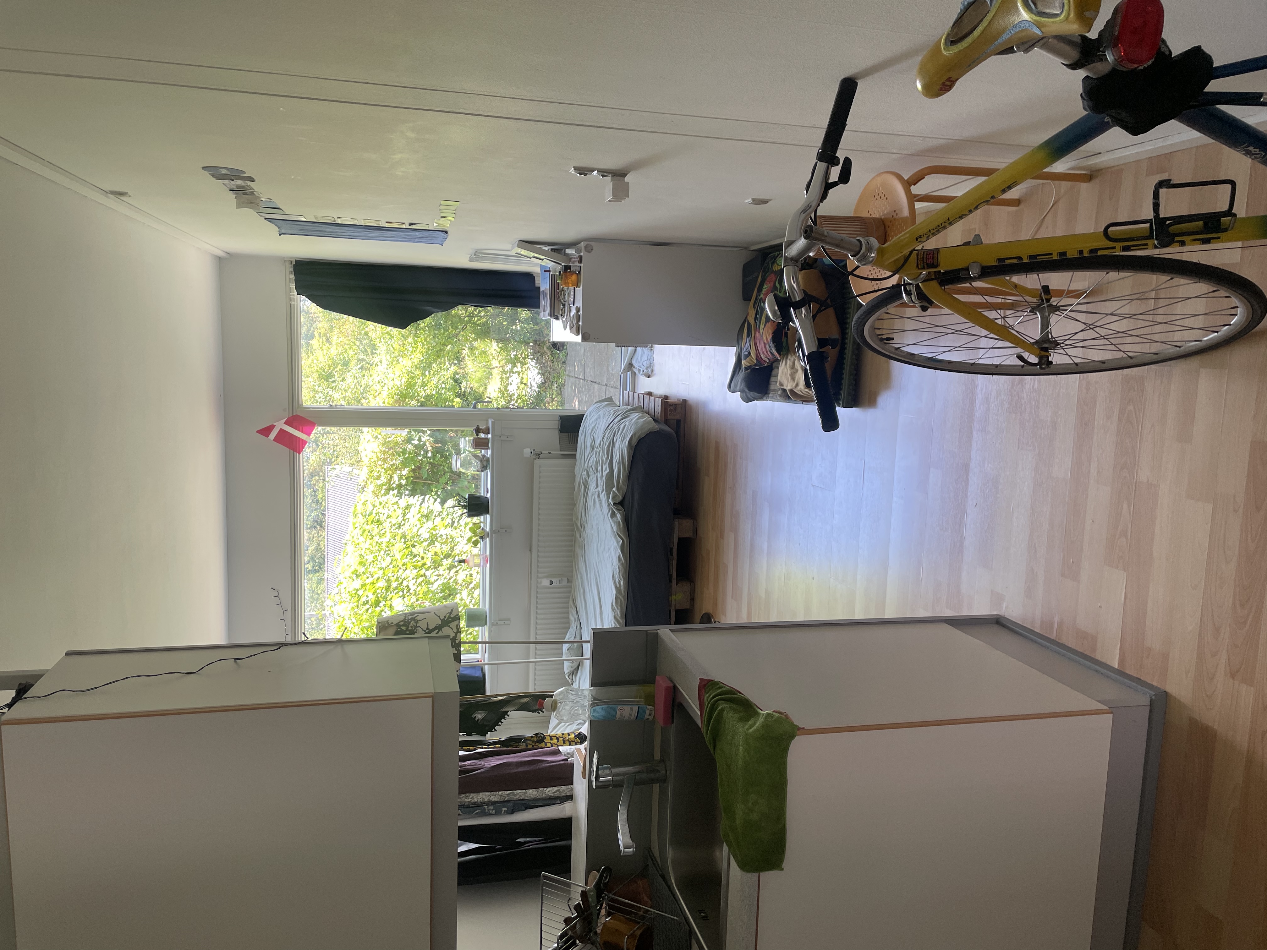 image-13