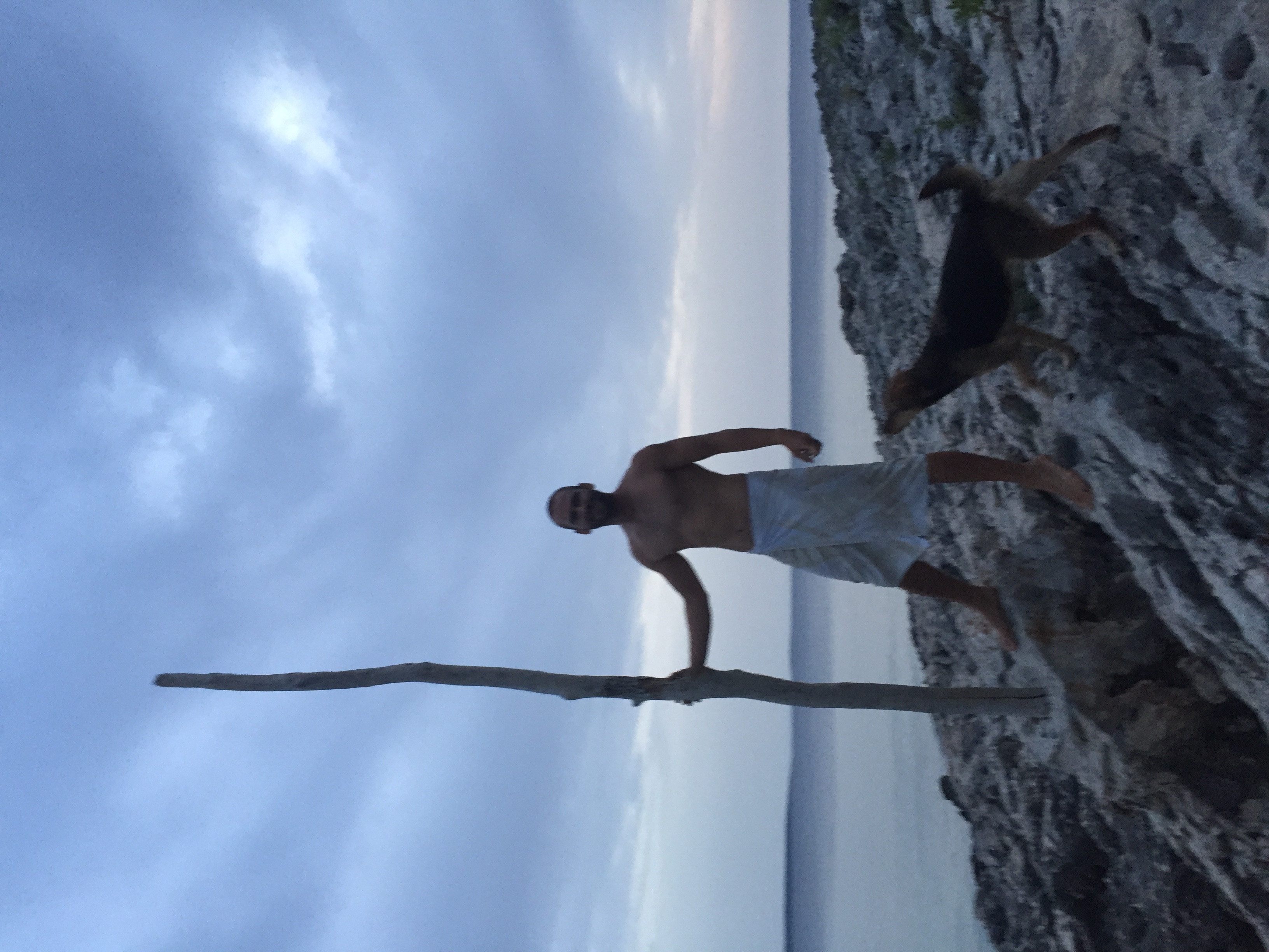 image-7