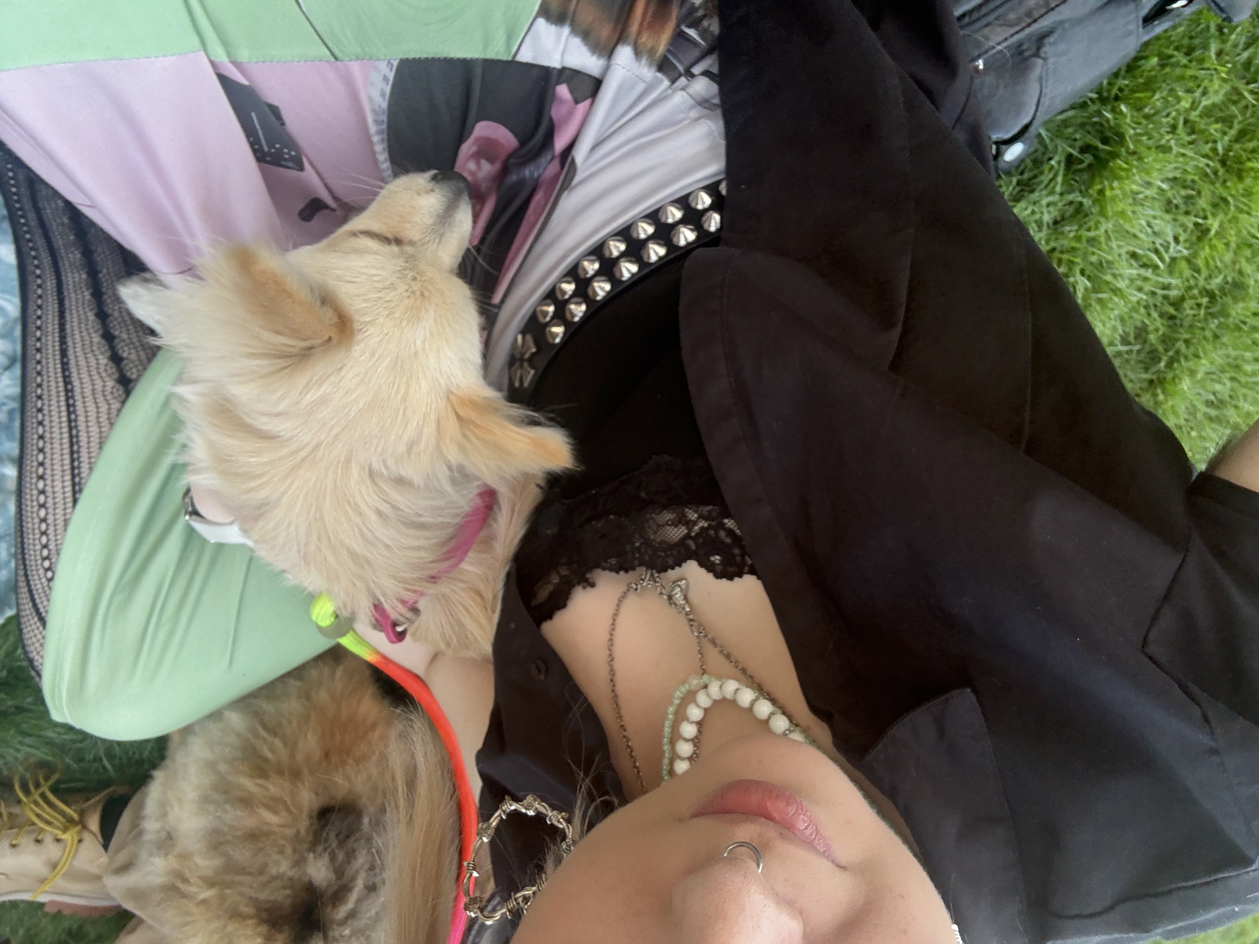 image-7