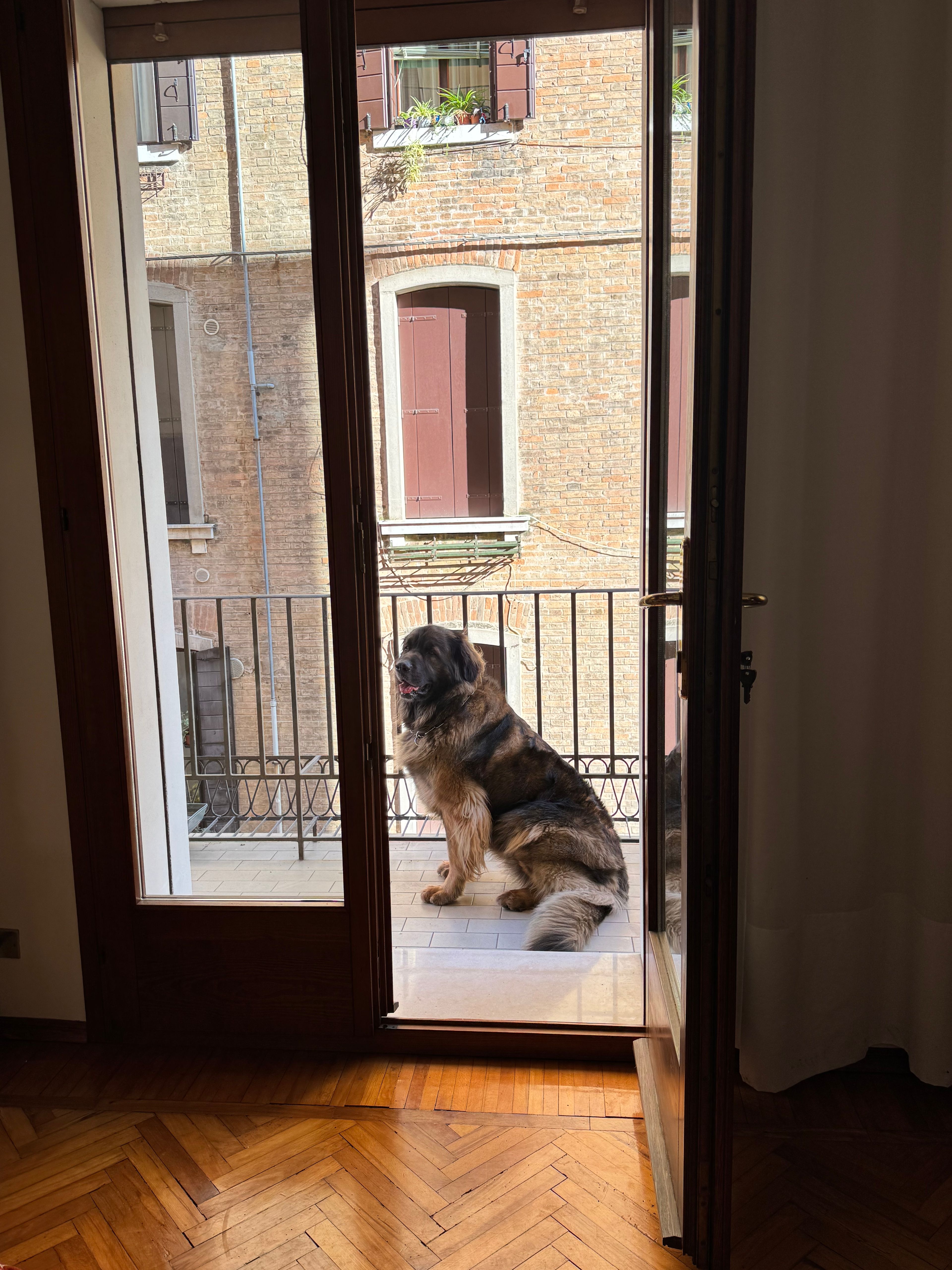 image-11