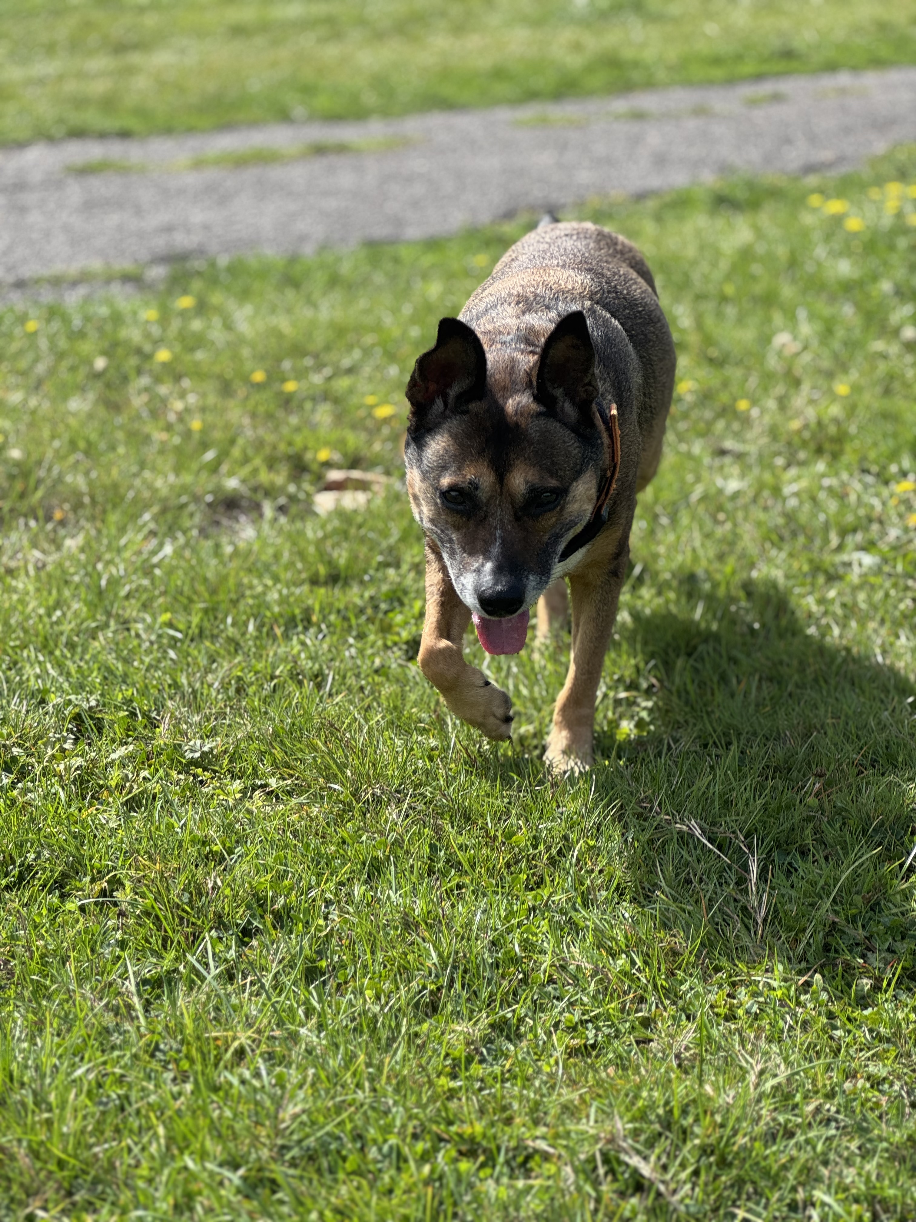 image-36