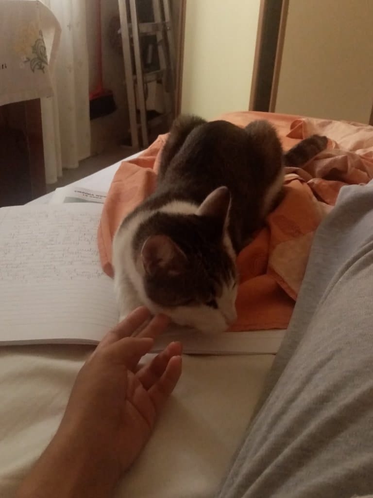 image-5