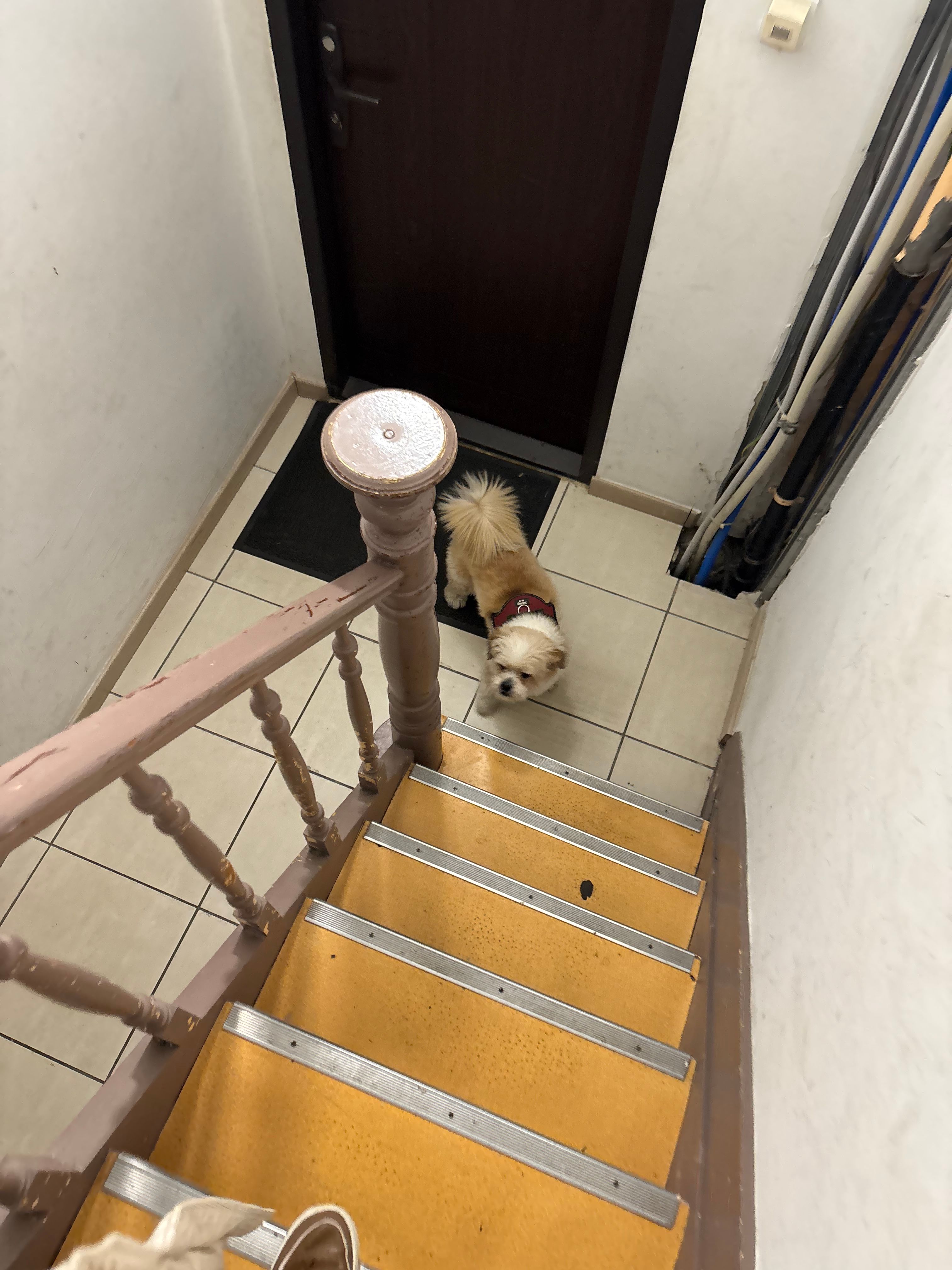 image-18