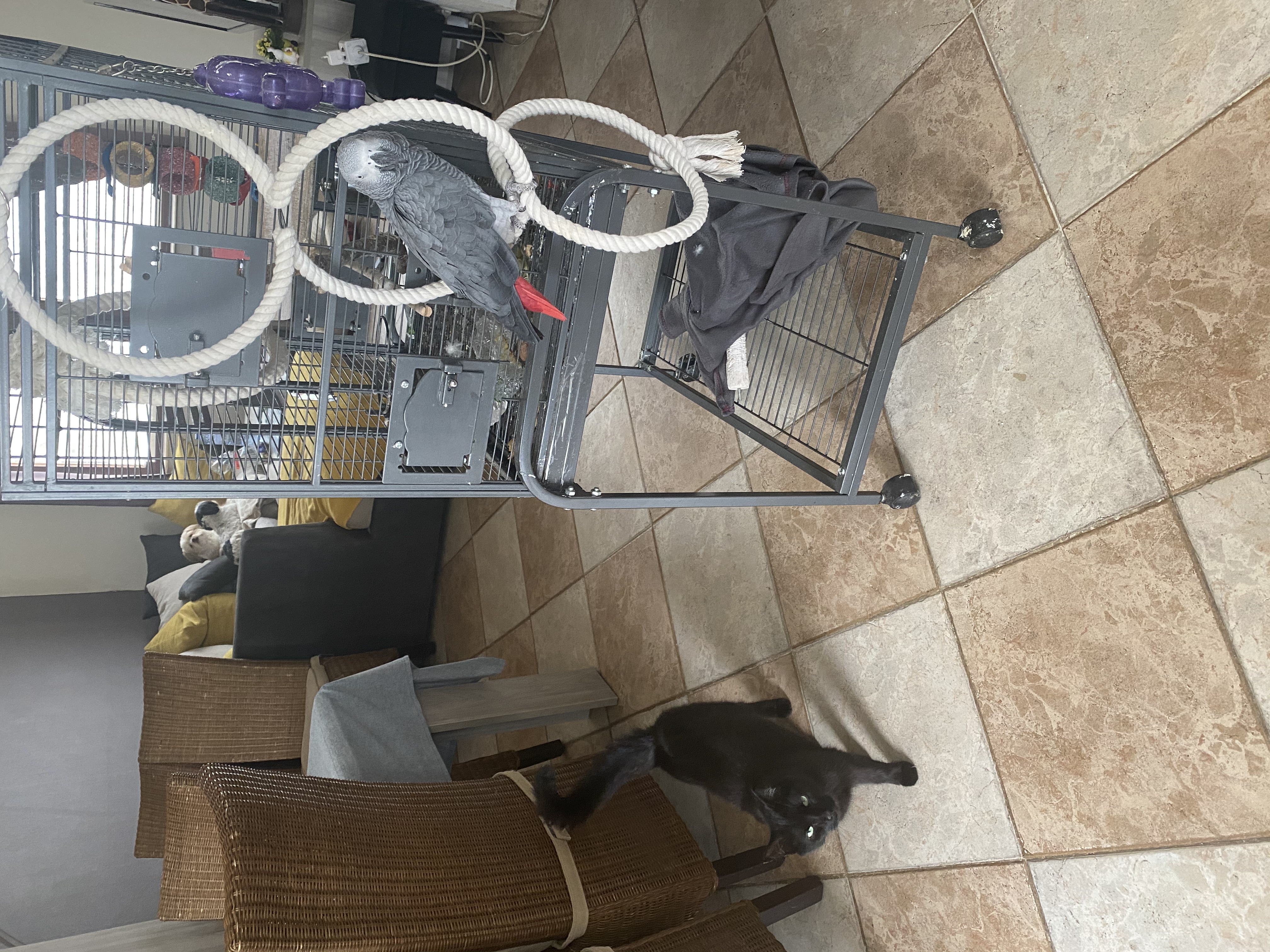 image-12