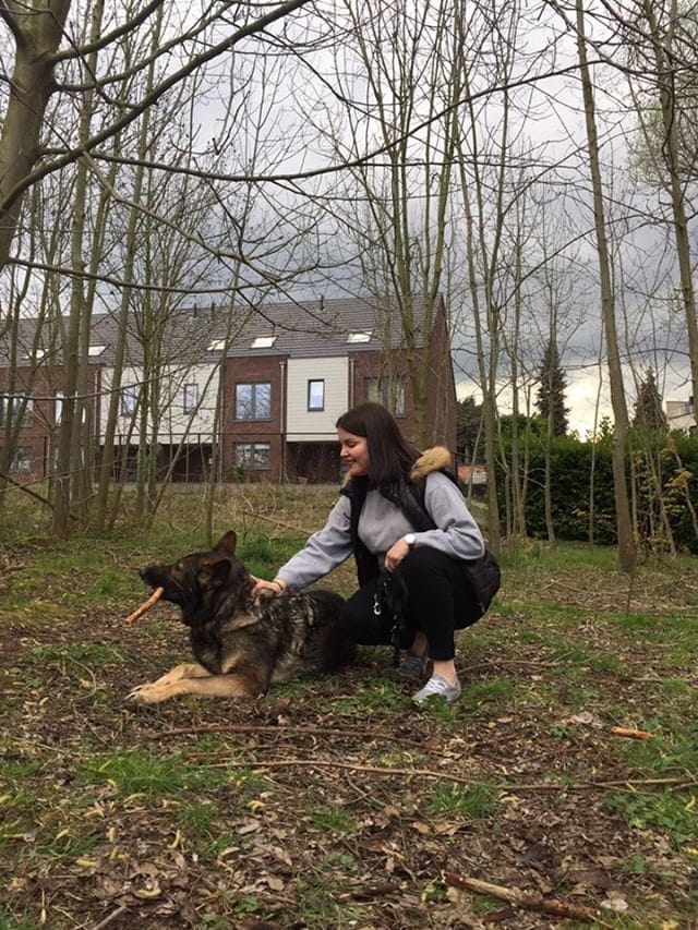 image-14