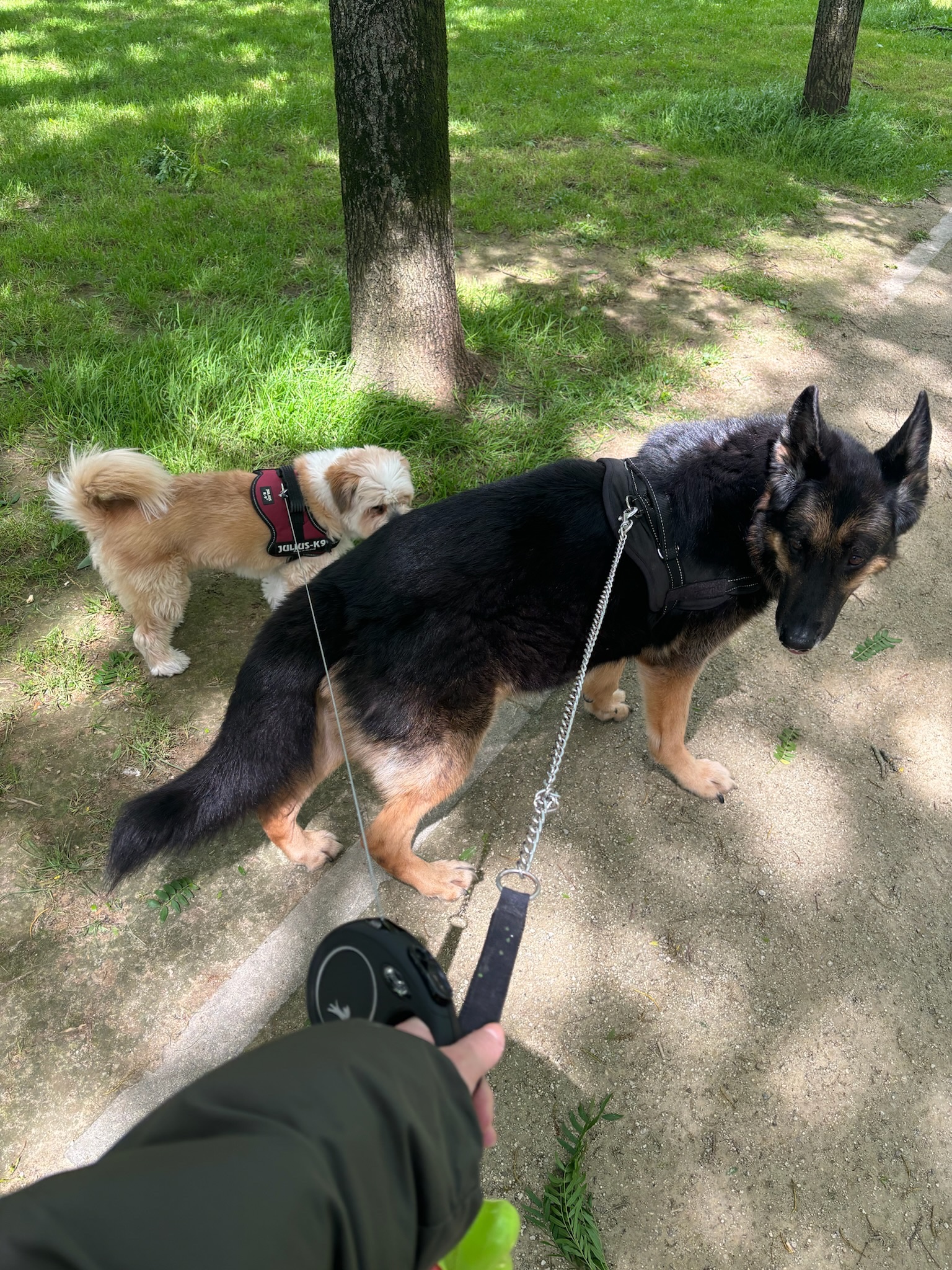 image-6