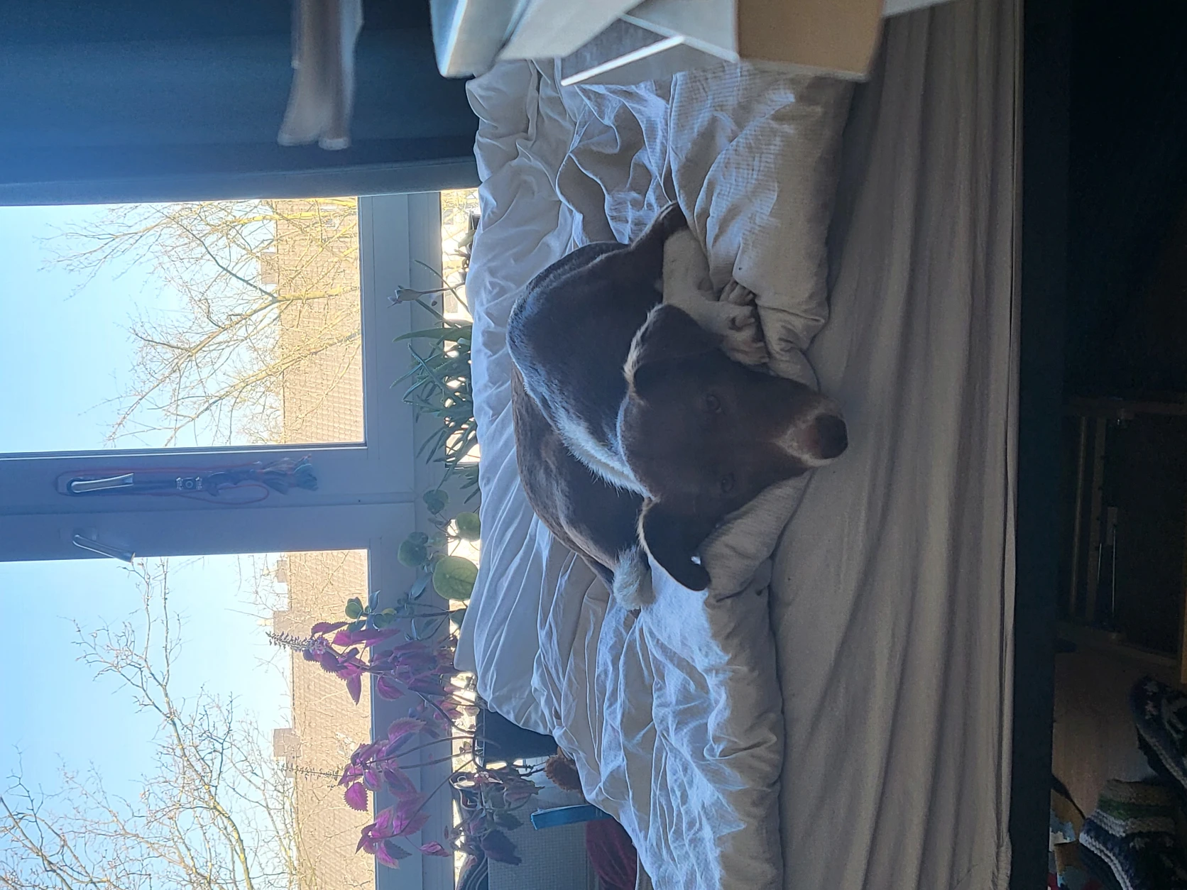 image-16