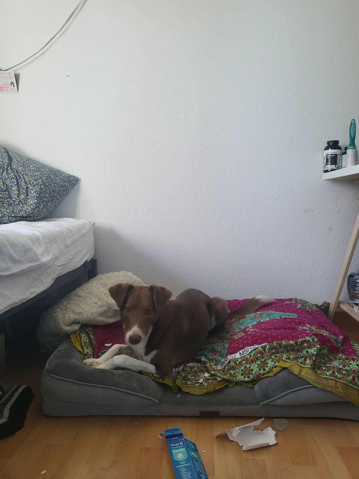 image-8