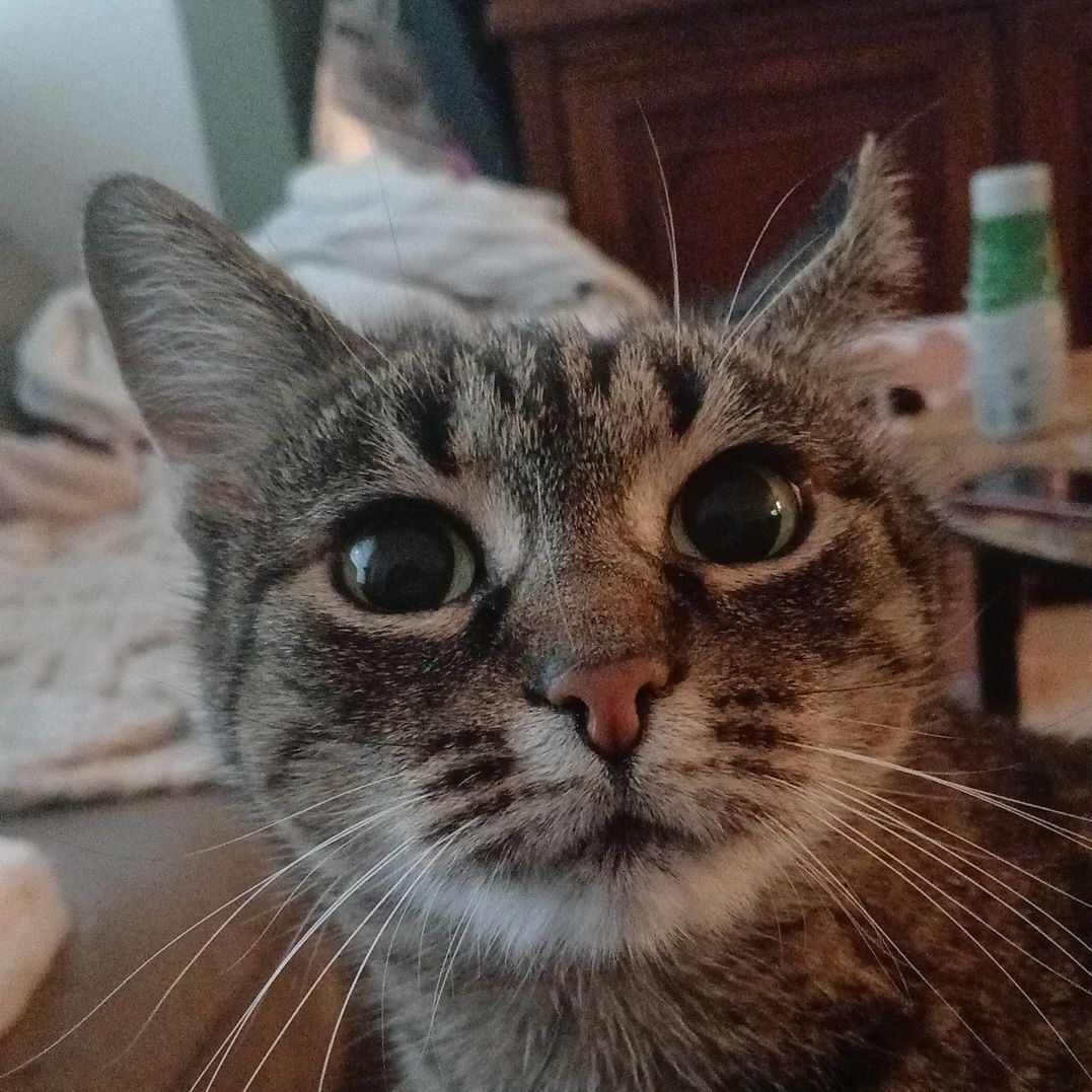 Tara